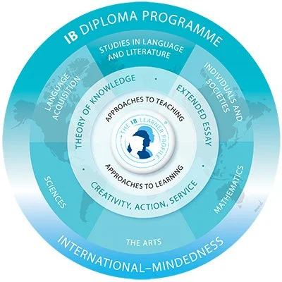 Circular infographic illustrating the IB Diploma Programme with sections for knowledge, learning approaches, and international-mindedness.