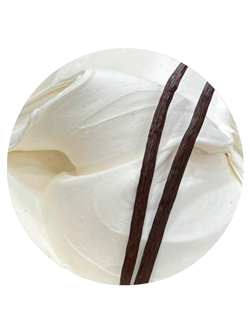 Website_Tray_Template-VanillaBean.png