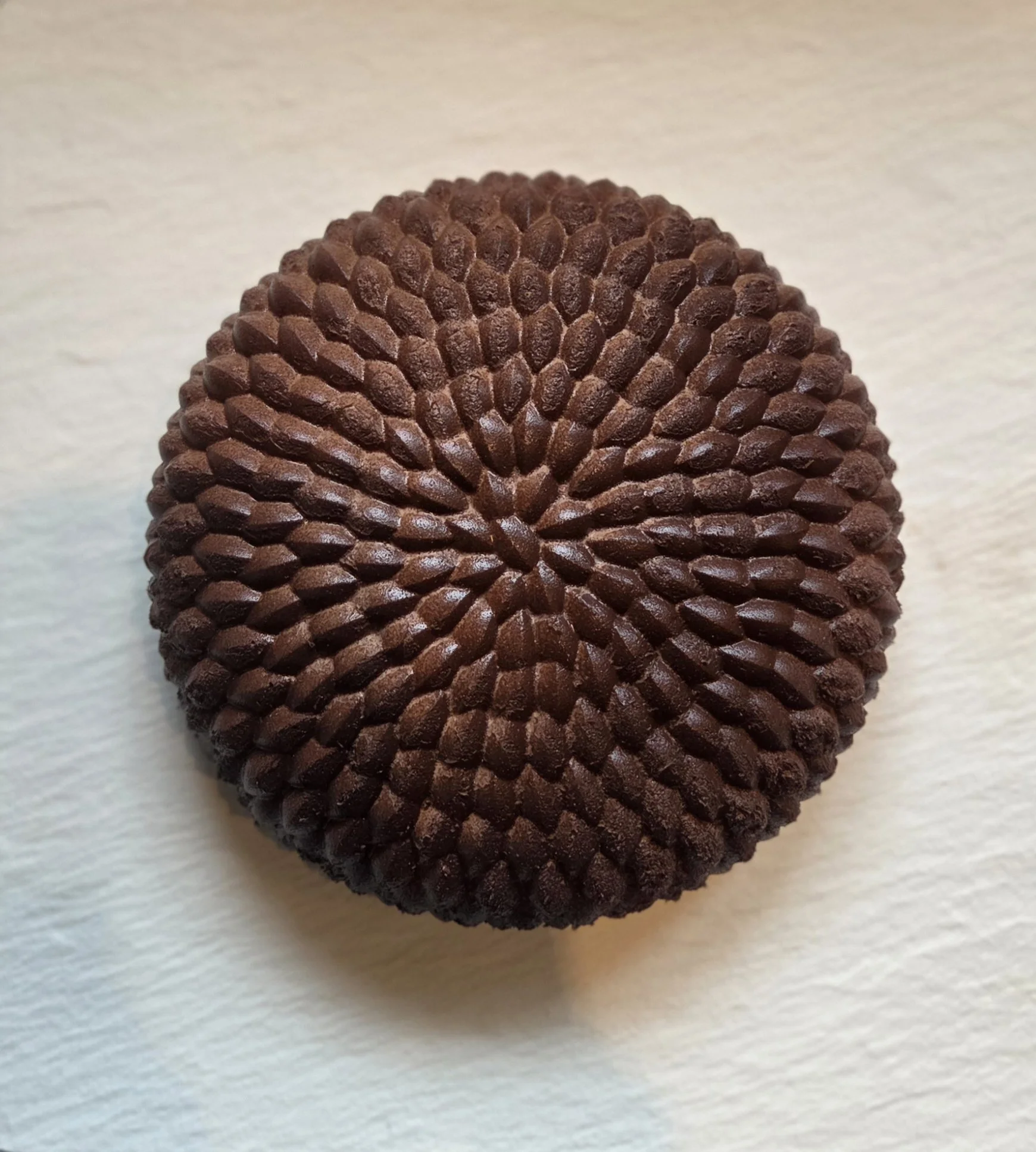 Pomme de Pin Chocolat
