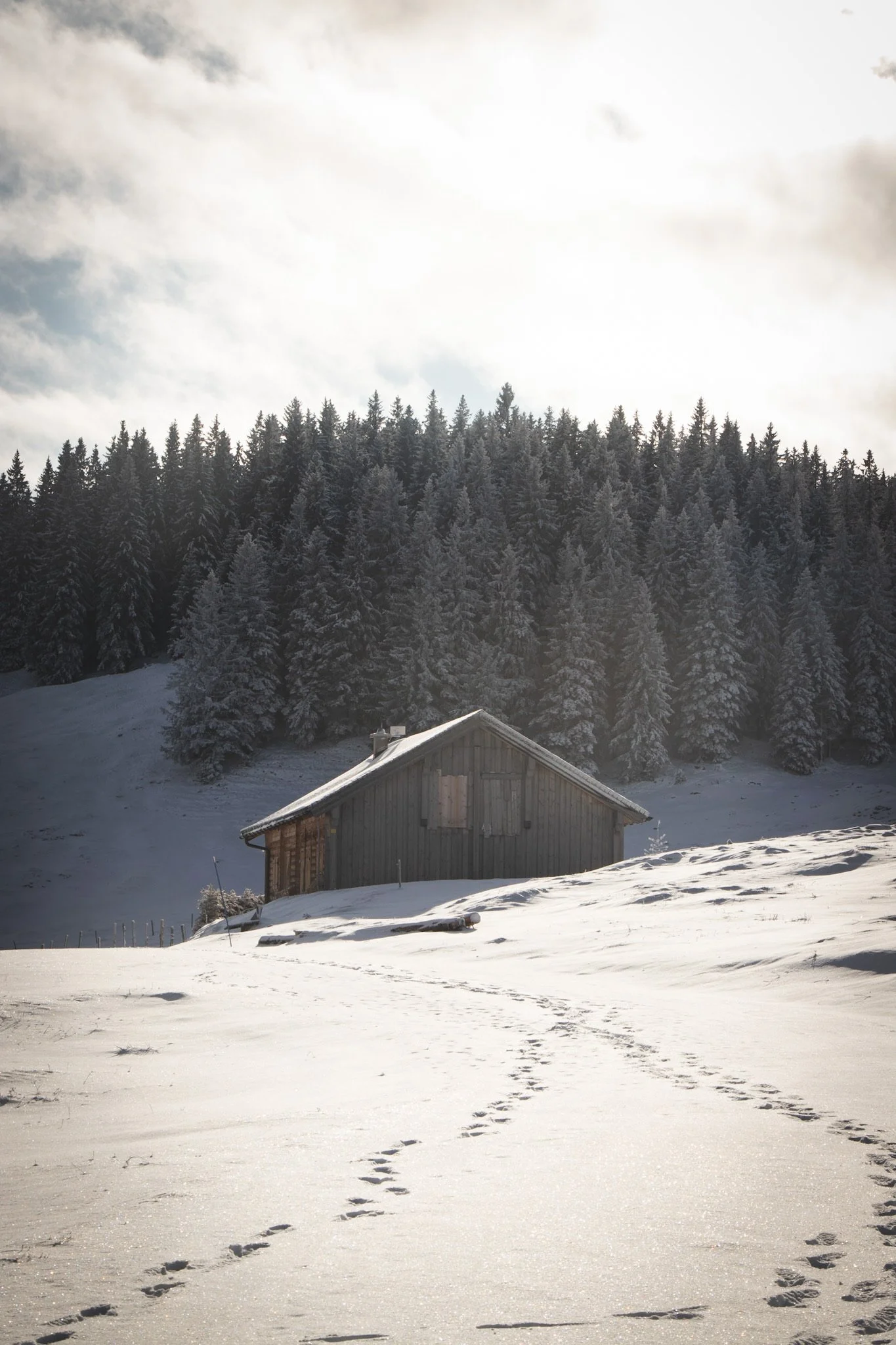 Slow Winter auf der Postalm – Ruhe finden über den Wolken