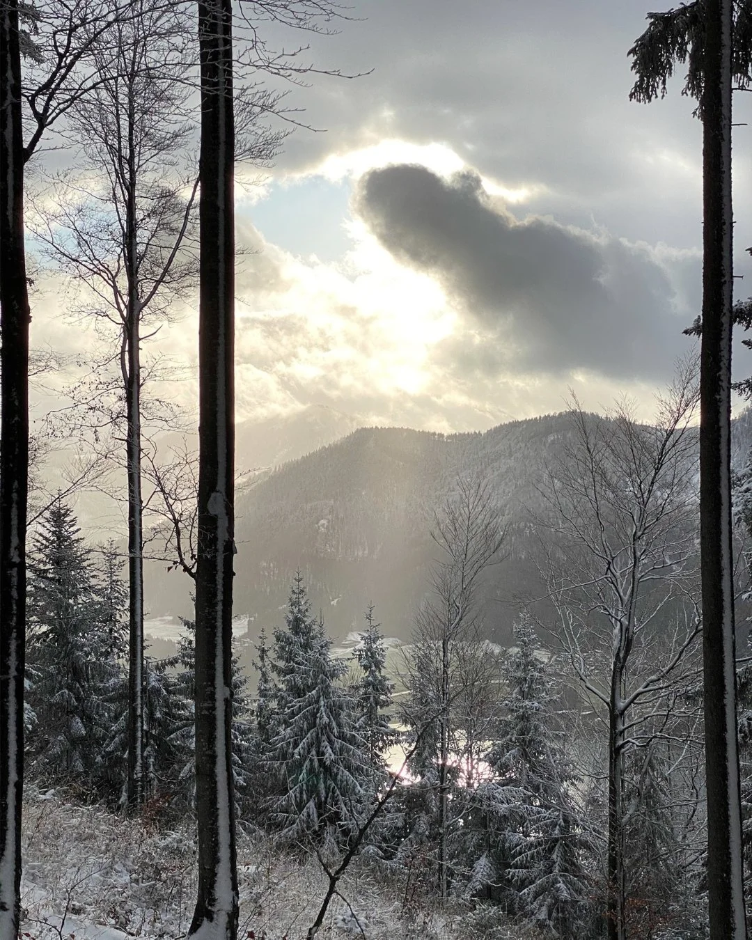 Vinterferie i Østrig med sneklædte skove og alpine bjerge omkring BERGROSE hideaway.