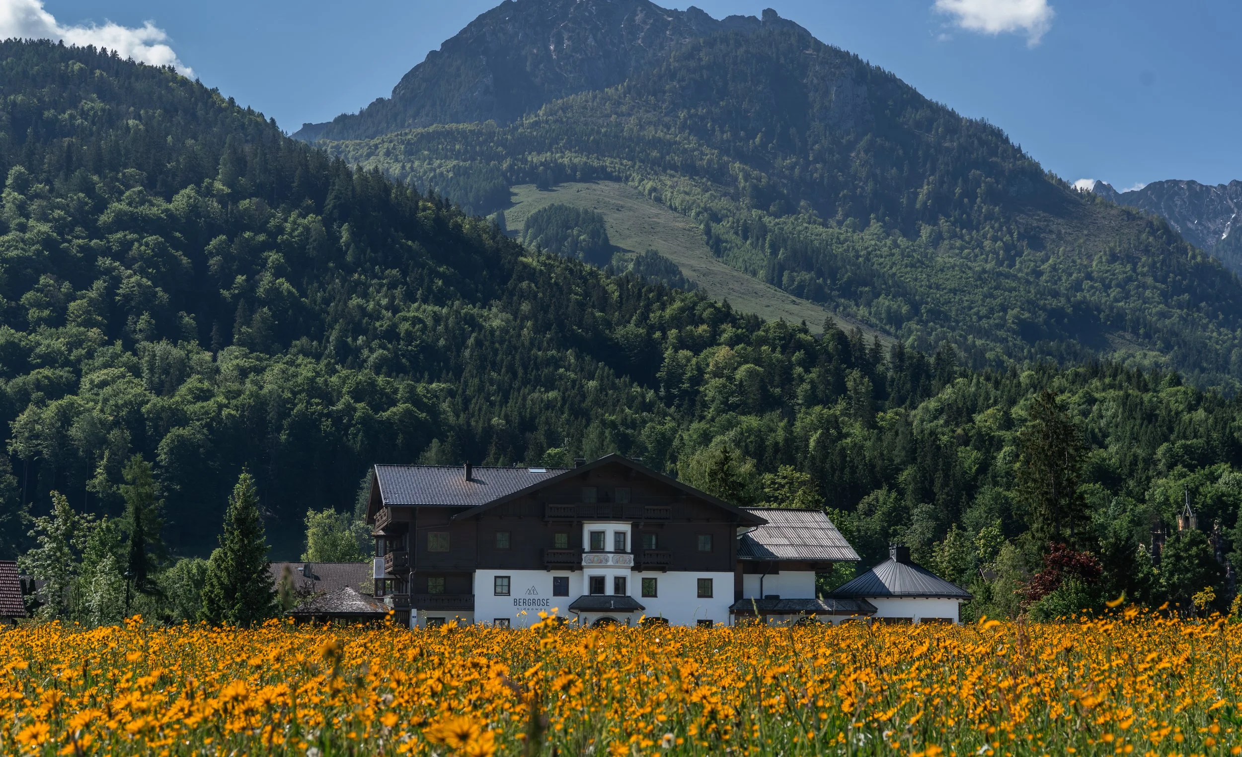 Bergrose Außenansicht