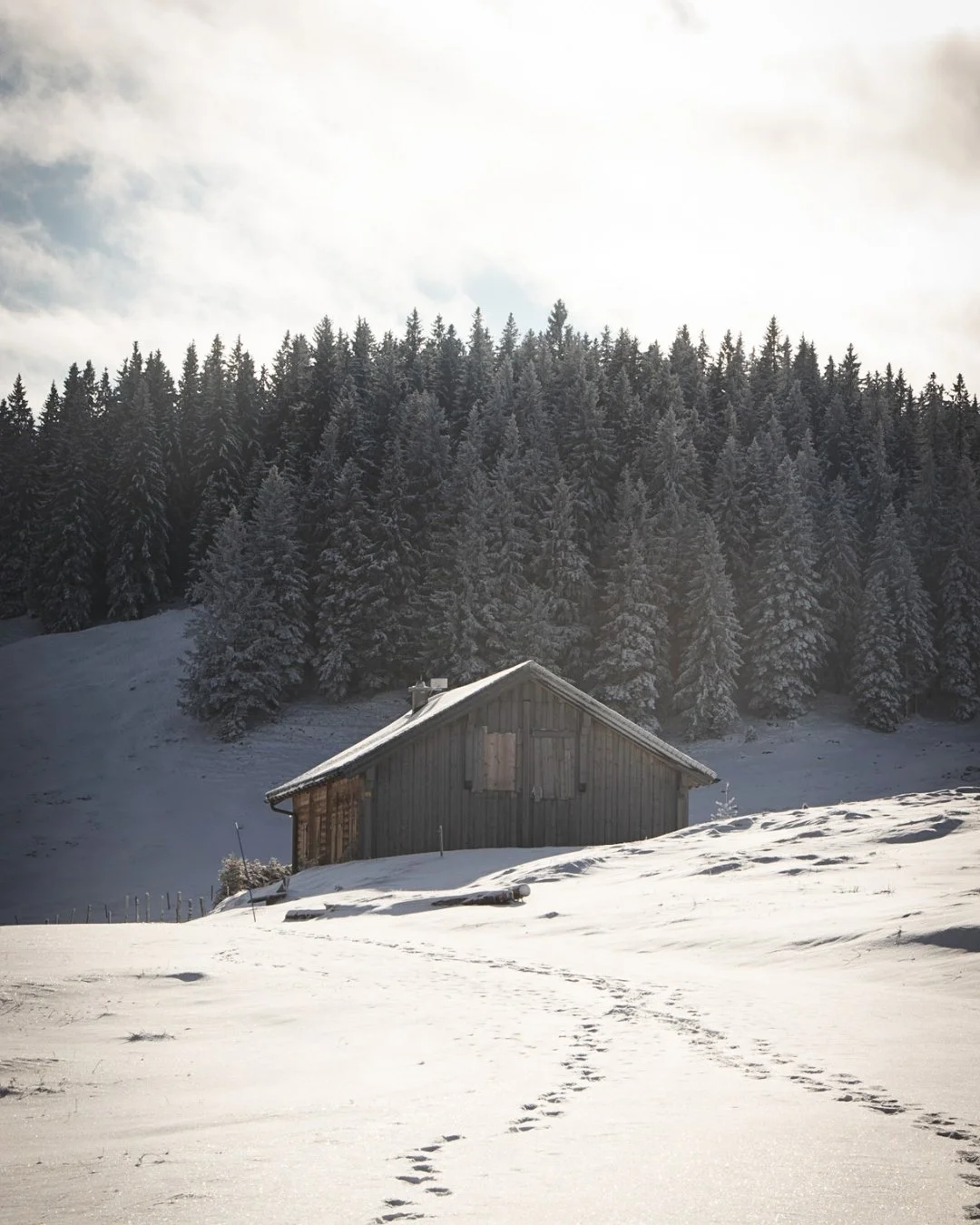 Von Sommerliebe zu Winterzauber ❄️
