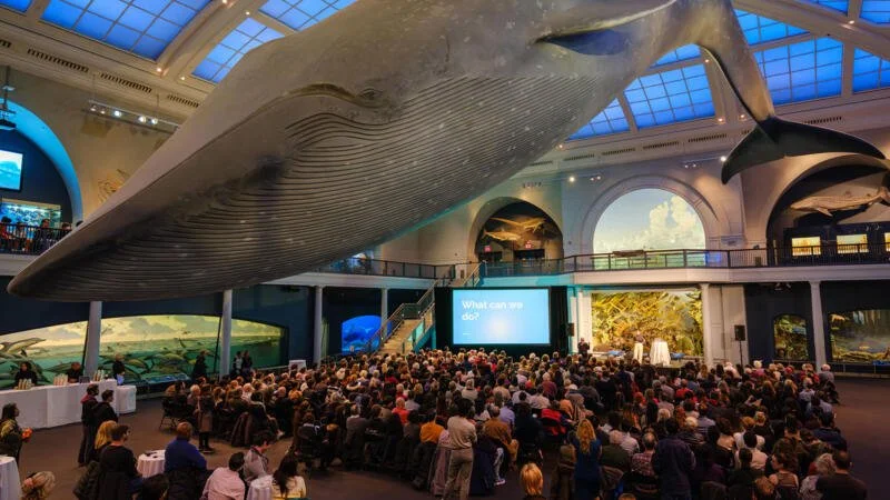The Climate Story Project: Climate Resilience in Action