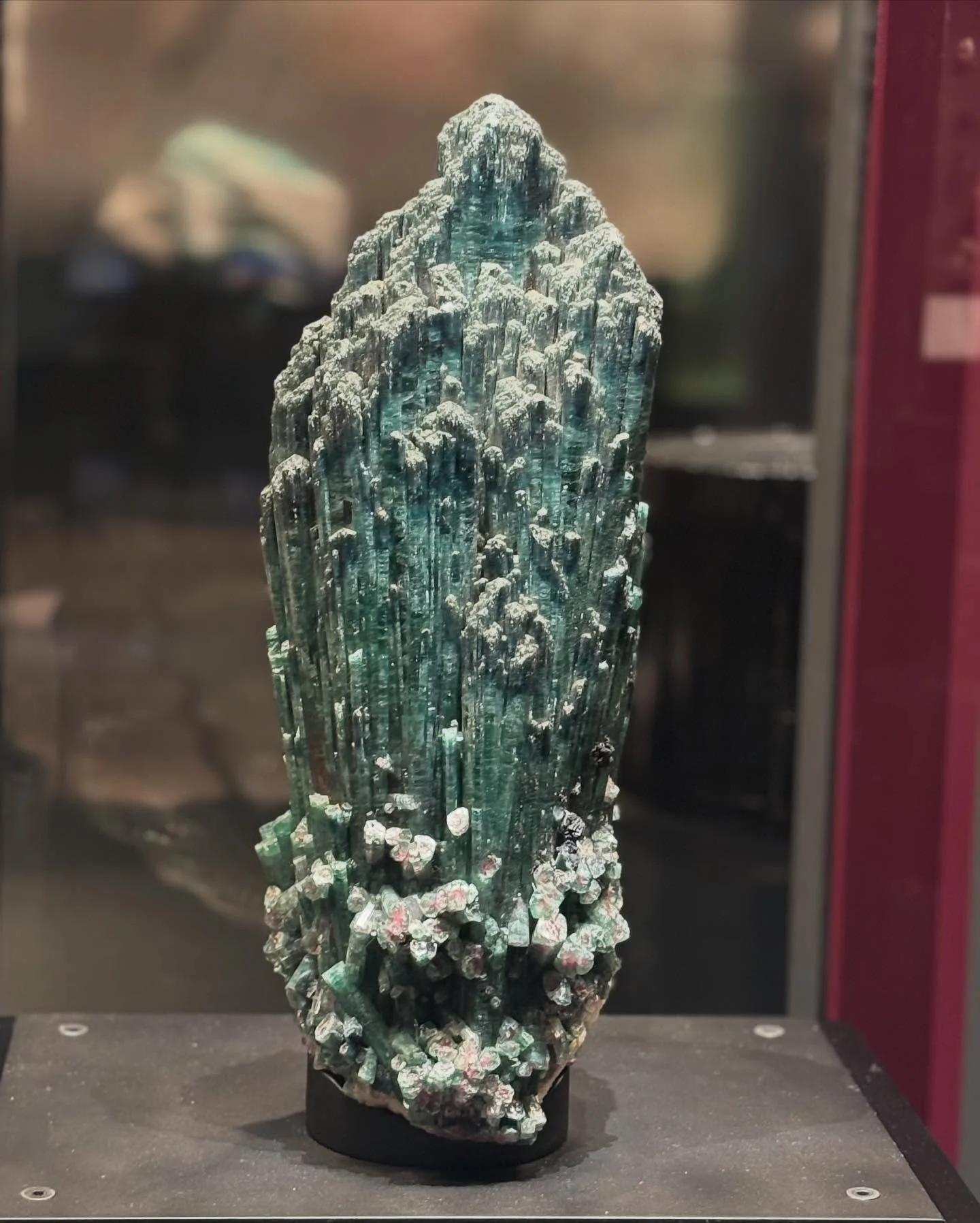 It was a pleasure to hear from not one, but two leaders from the Exchange network on stage at the American Museum of Natural History last night.

@chelseaclinton led an important discussion on climate education alongside @suny Chancellor John King, @