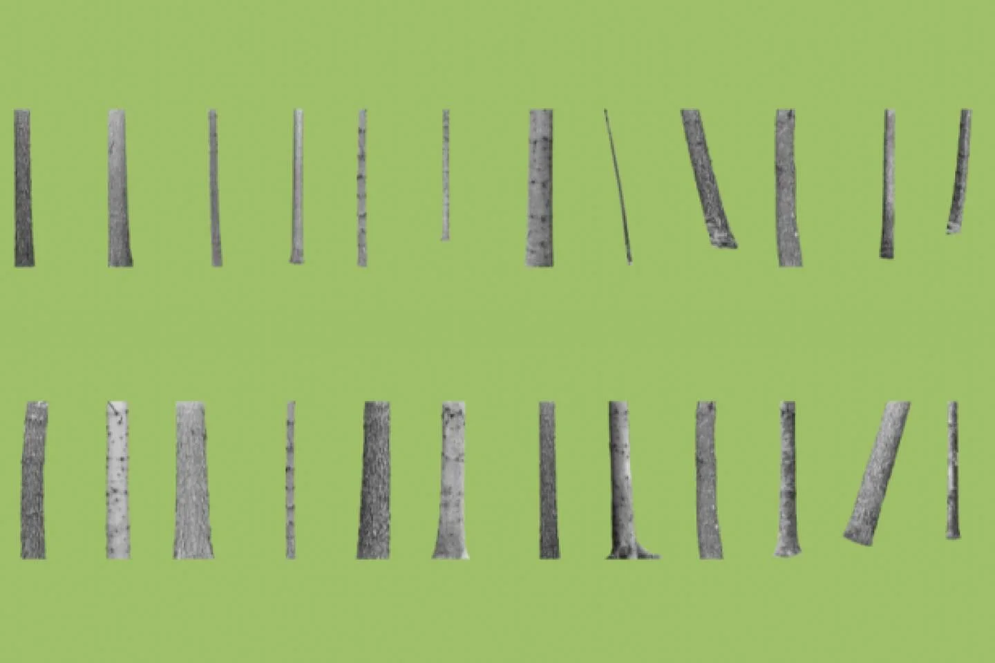 Join The Exchange and @dutchcultureusa on @governorsisland on Thursday, June 4 from 5-7 PM for the launch of "A Forest Deconstructed". This new photography exhibition explores the relationship between climate, nature, and the built environm