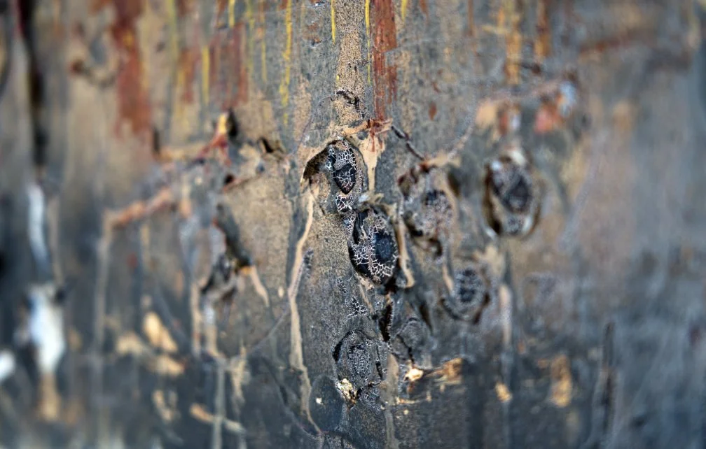 Woodberry Down_Close Up 1_LR.jpg