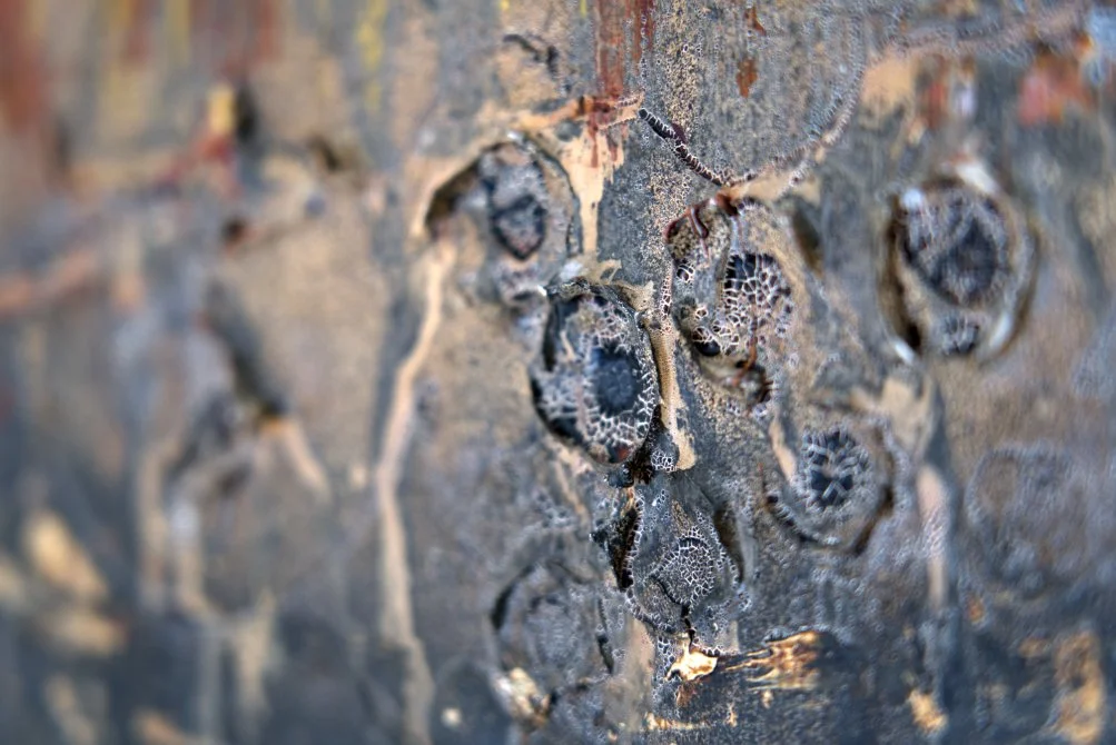 Woodberry Down_Close Up 3_LR.jpg