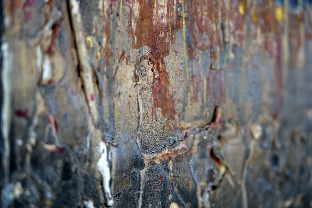 Woodberry Down_Close Up 2_LR.jpg