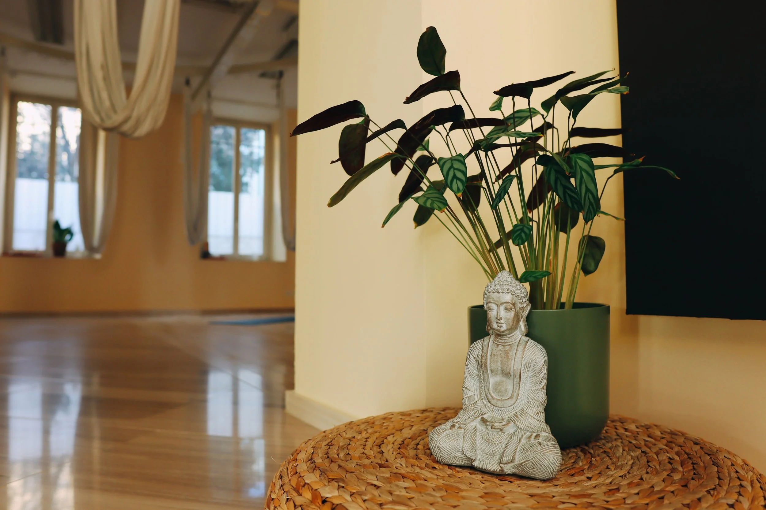 Vaso verde con pianta a foglie verdi e viola, decorato con una statua di Buddha seduto, posato su un tappeto di paglia, vicino a un muro color crema. In fondo, una stanza luminosa con grandi finestre e tende chiare.