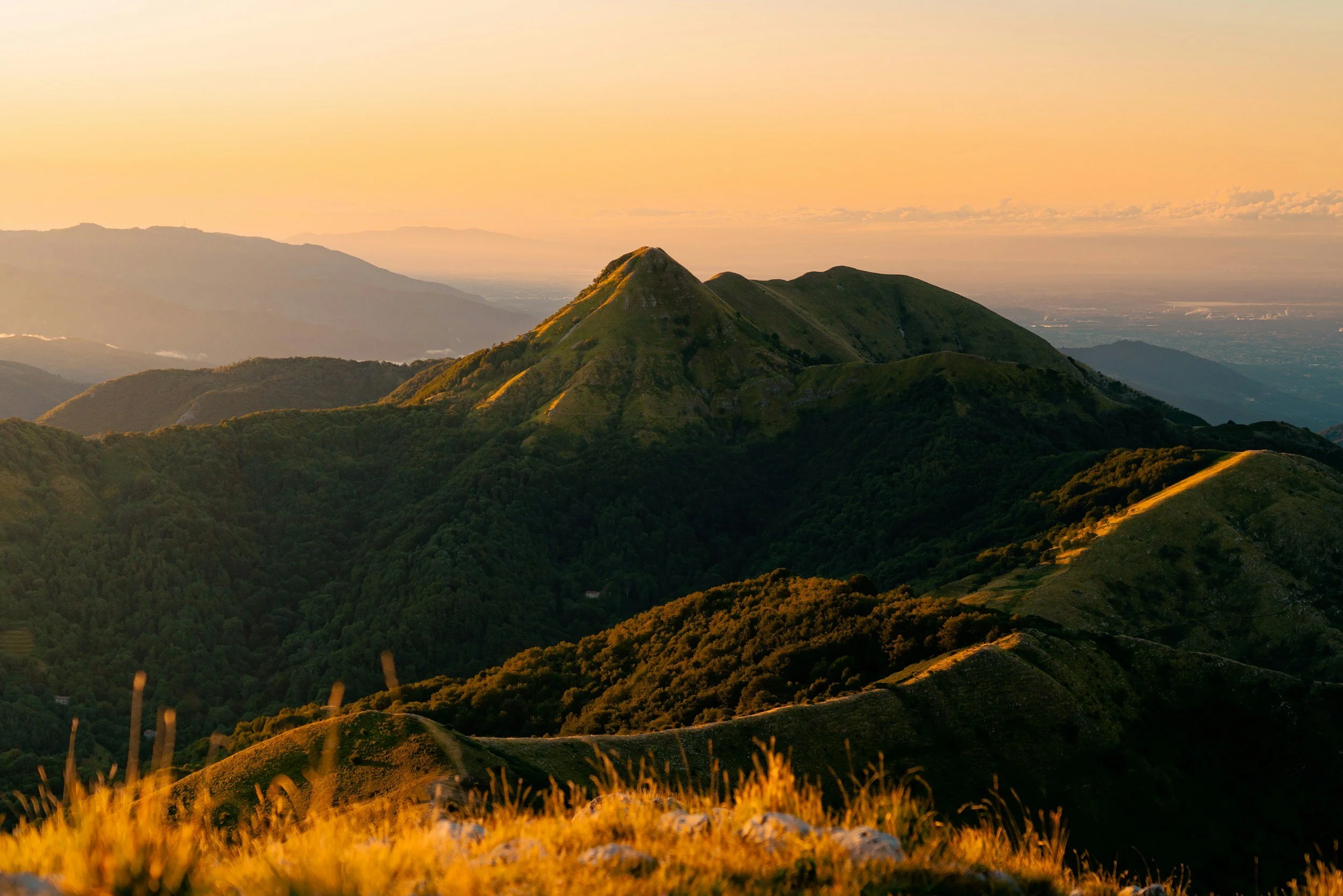 unsplash-image-nTT9O-gYmVw.jpg