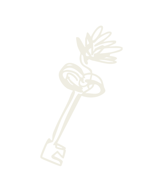 Illustrazione di una chiave antica con un pomello decorato, stile cartone animato.