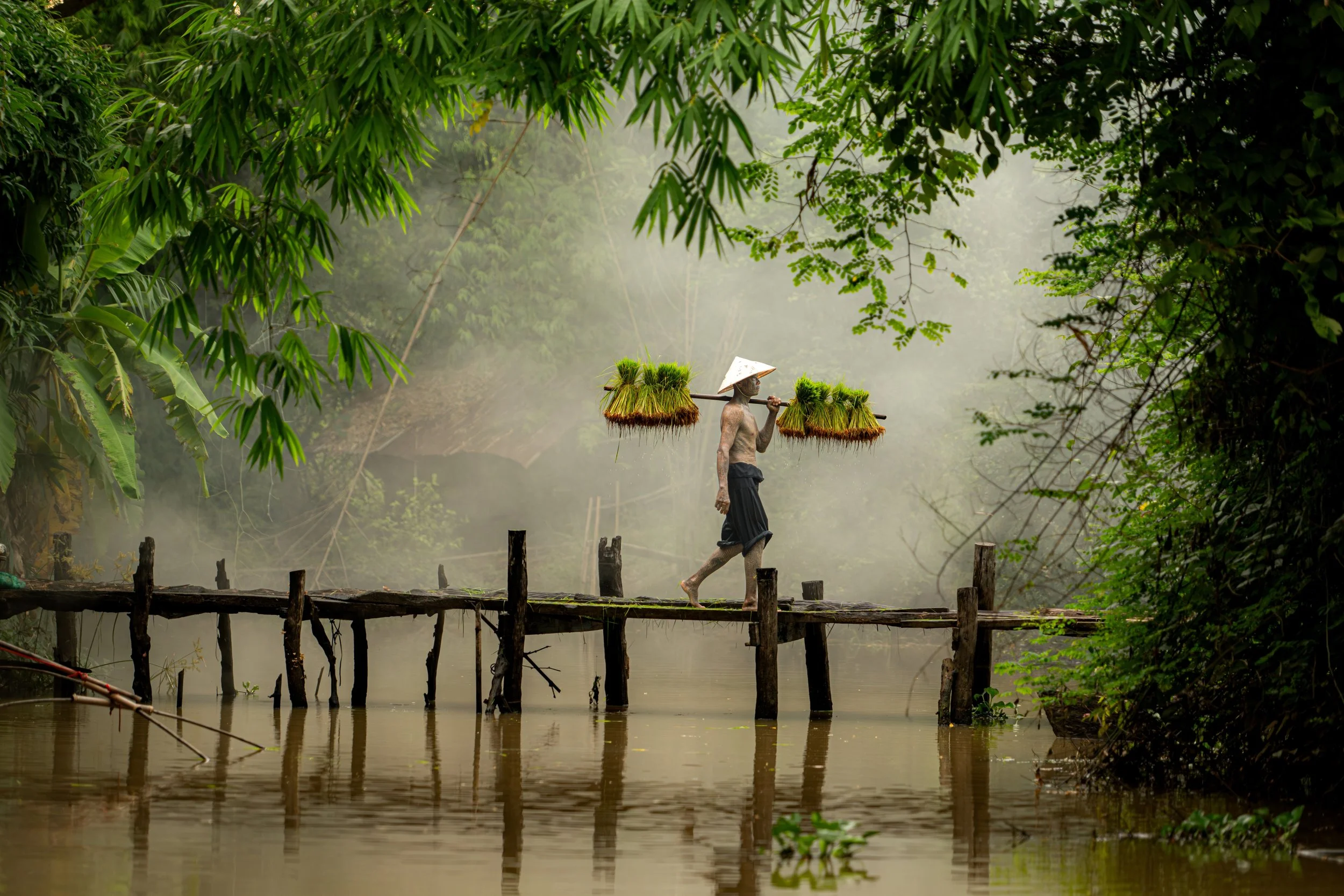 A man with a traditional straw hat, carrying bundles of grass on a shoulder pole, walking on a wooden bridge over a river surrounded by lush green trees and mist.