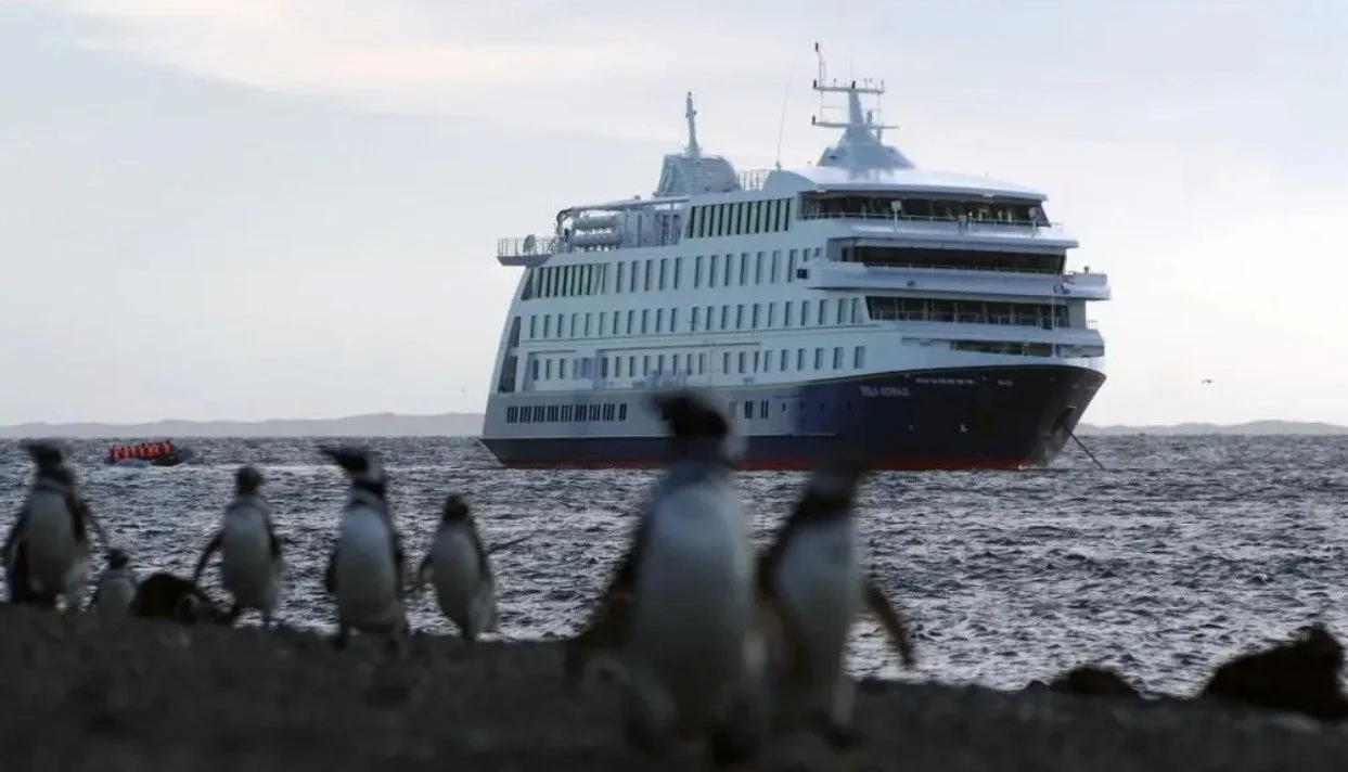 A cruise ship at sea with penguins in the foreground on a rocky shoreline.