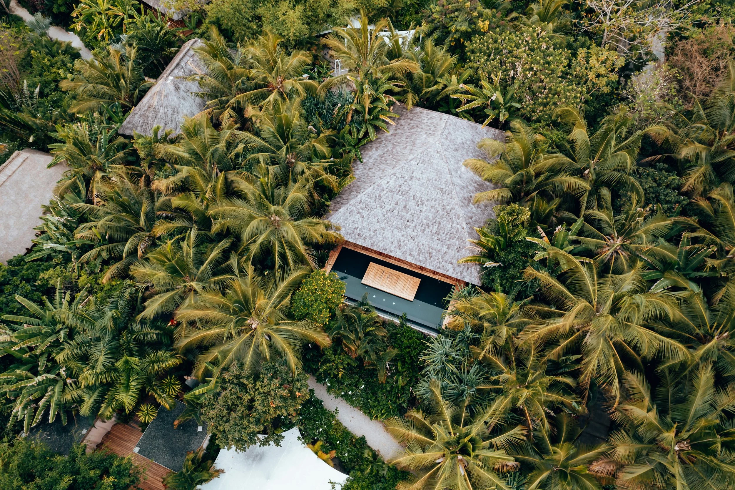 Aerial view of a house surrounded by lush tropical palm trees.