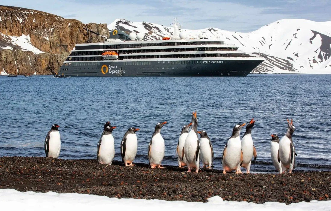 A group of penguins standing on a rocky shoreline near the water's edge, with a large cruise ship labeled 'World Explorer' in the background, icy mountains behind the ship.