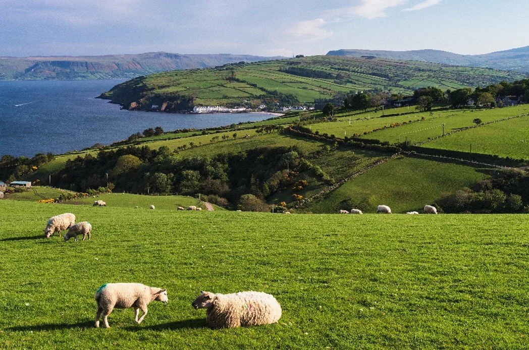 Cushendun from Torr Walk