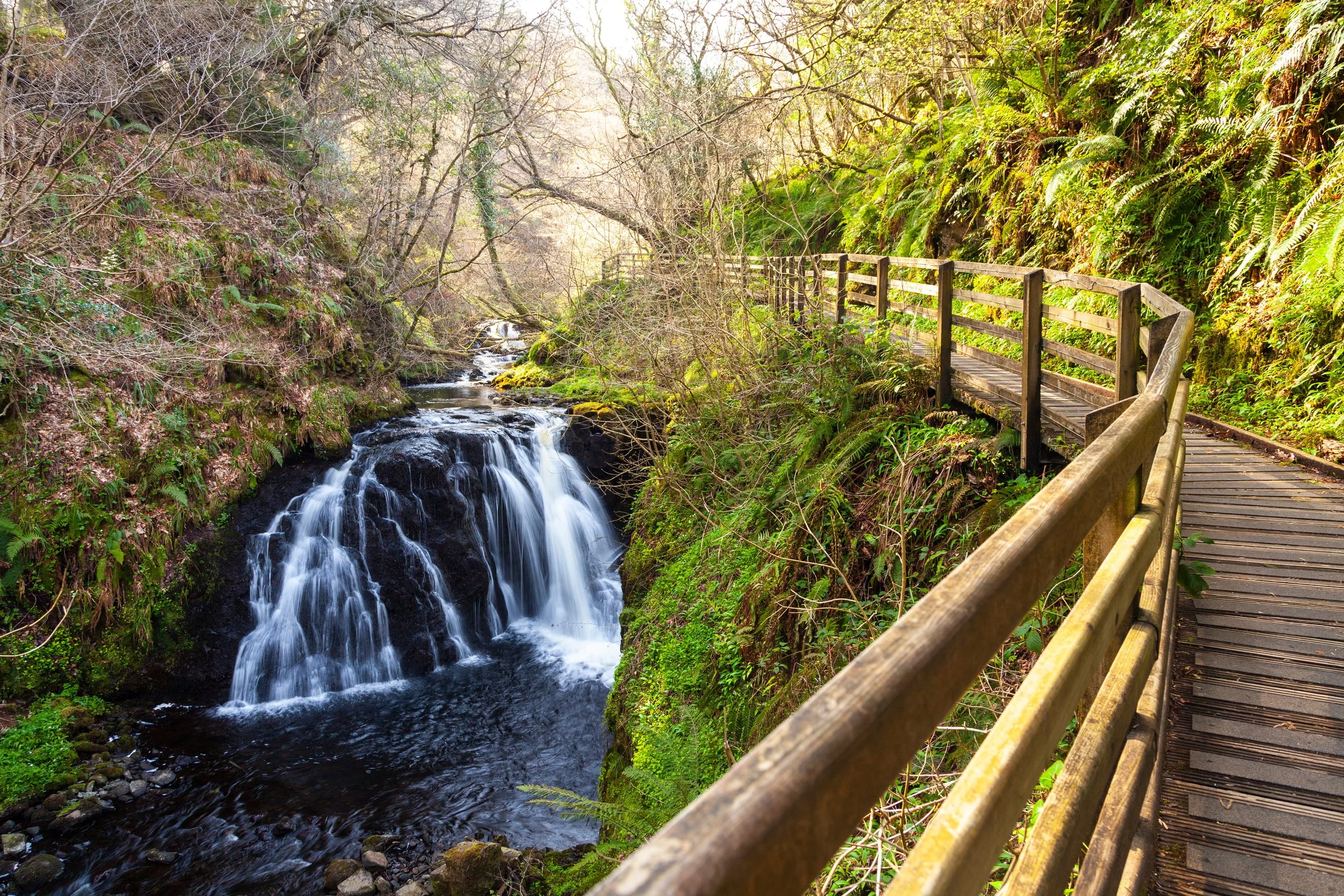 Glenariff Forest Park