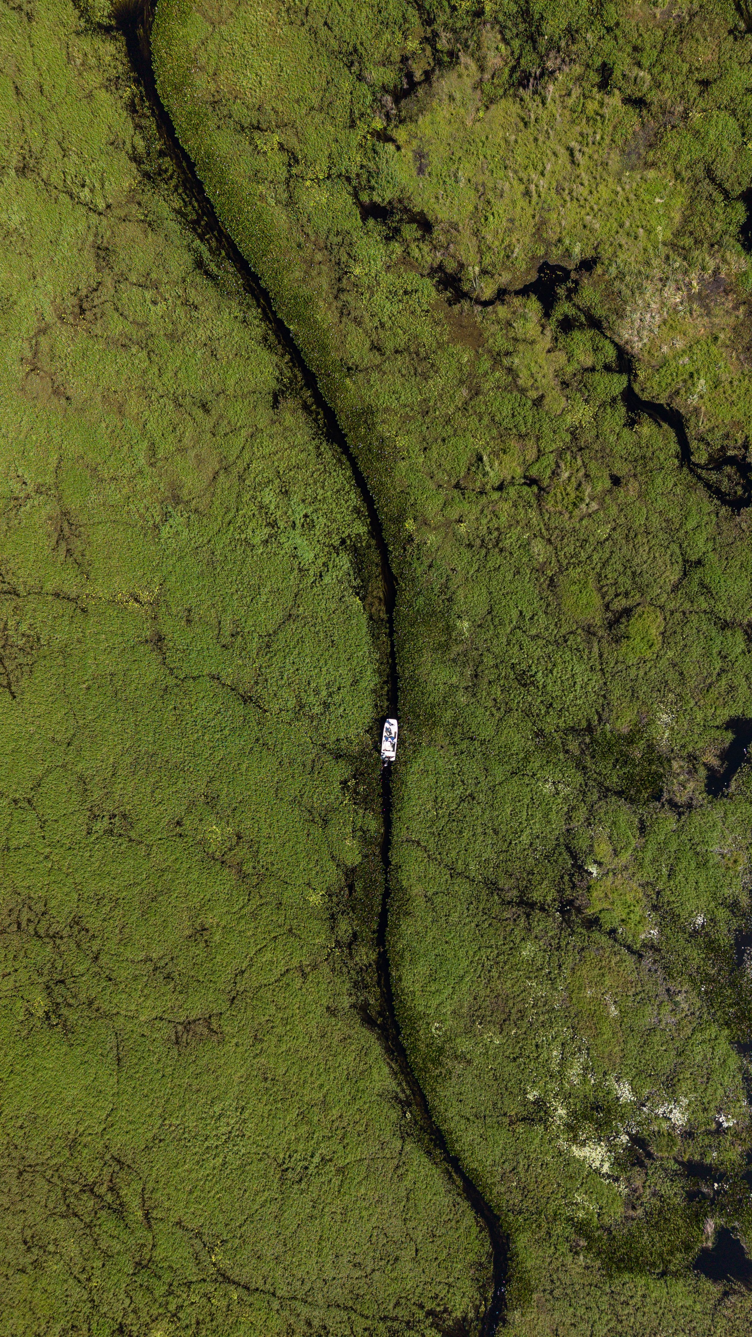 DJI_20251123100426_0033_D.jpg