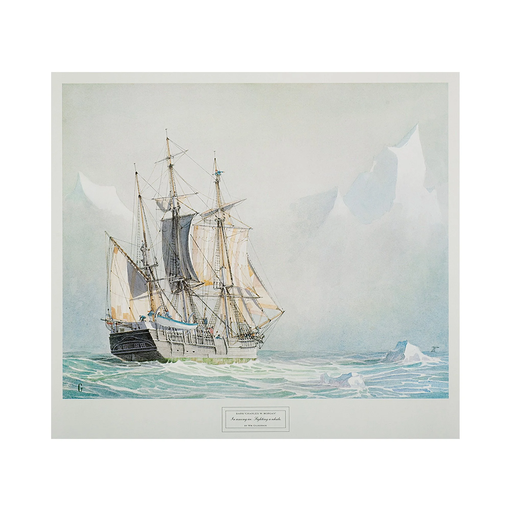 charles morgan whaling ship web.jpg