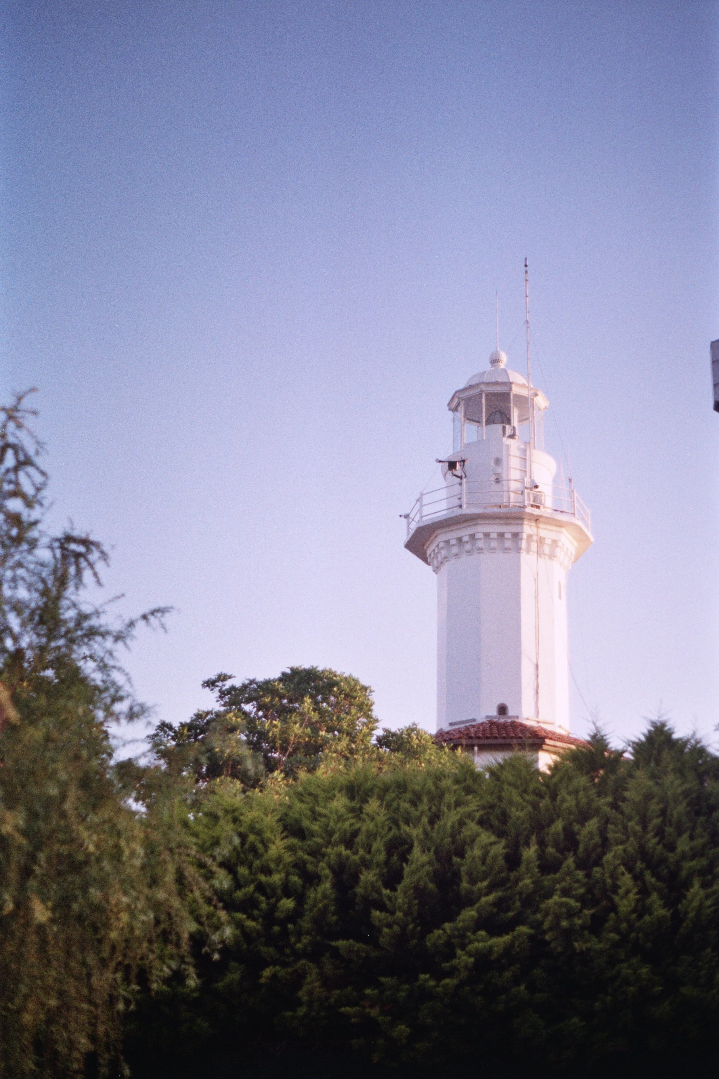 efe_0011.jpg
