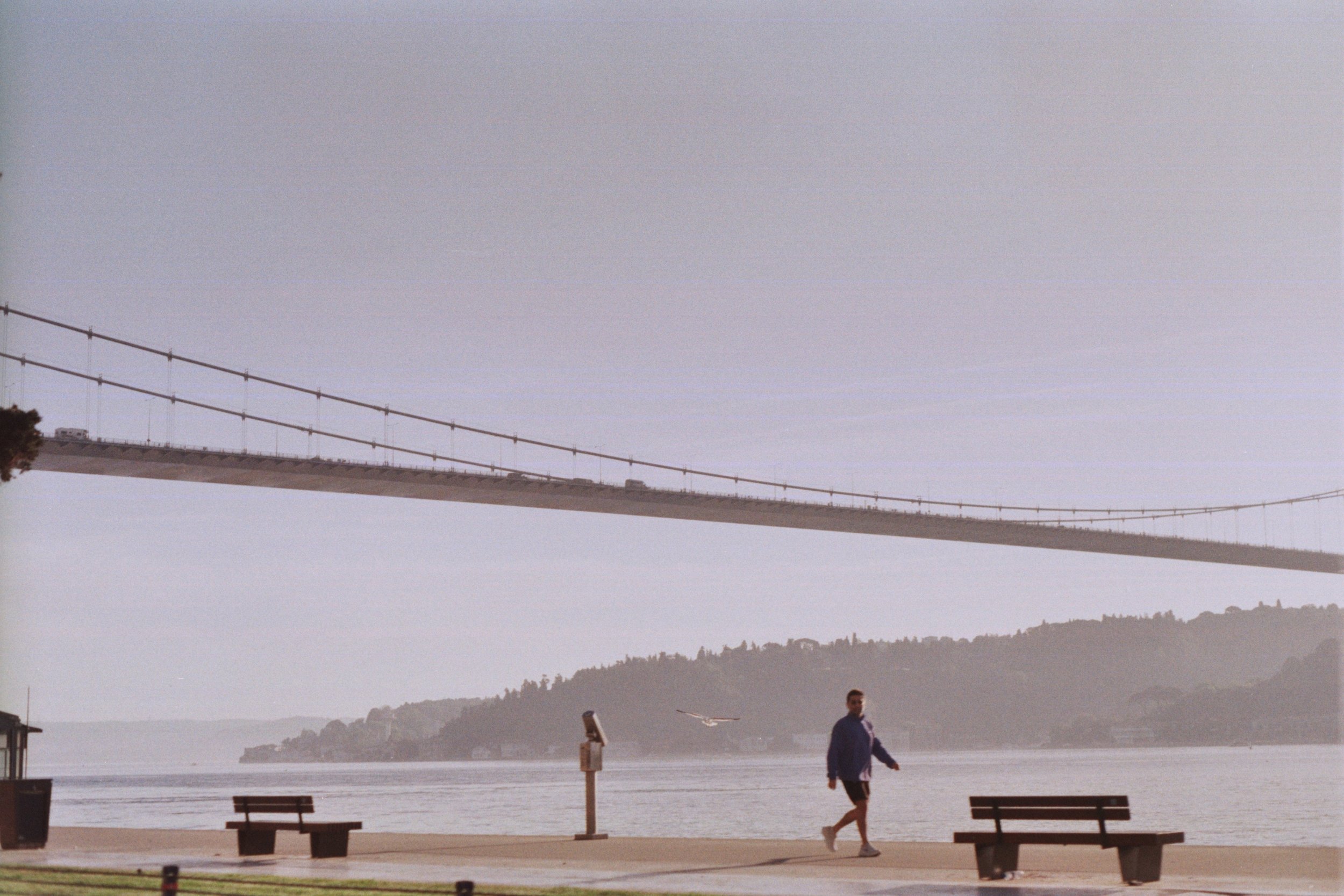 efe_0007.jpg