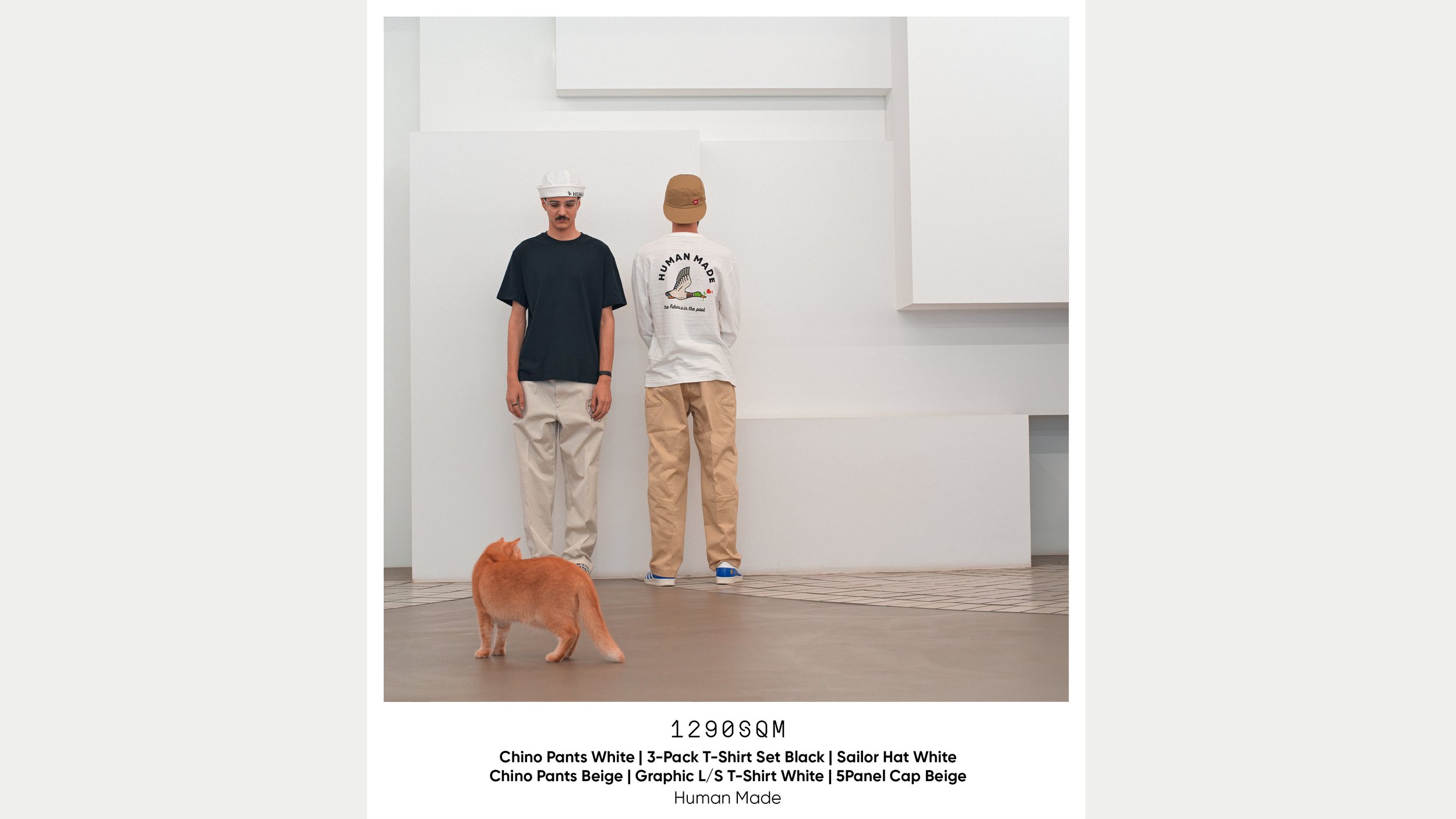 vid_look4_01.jpg