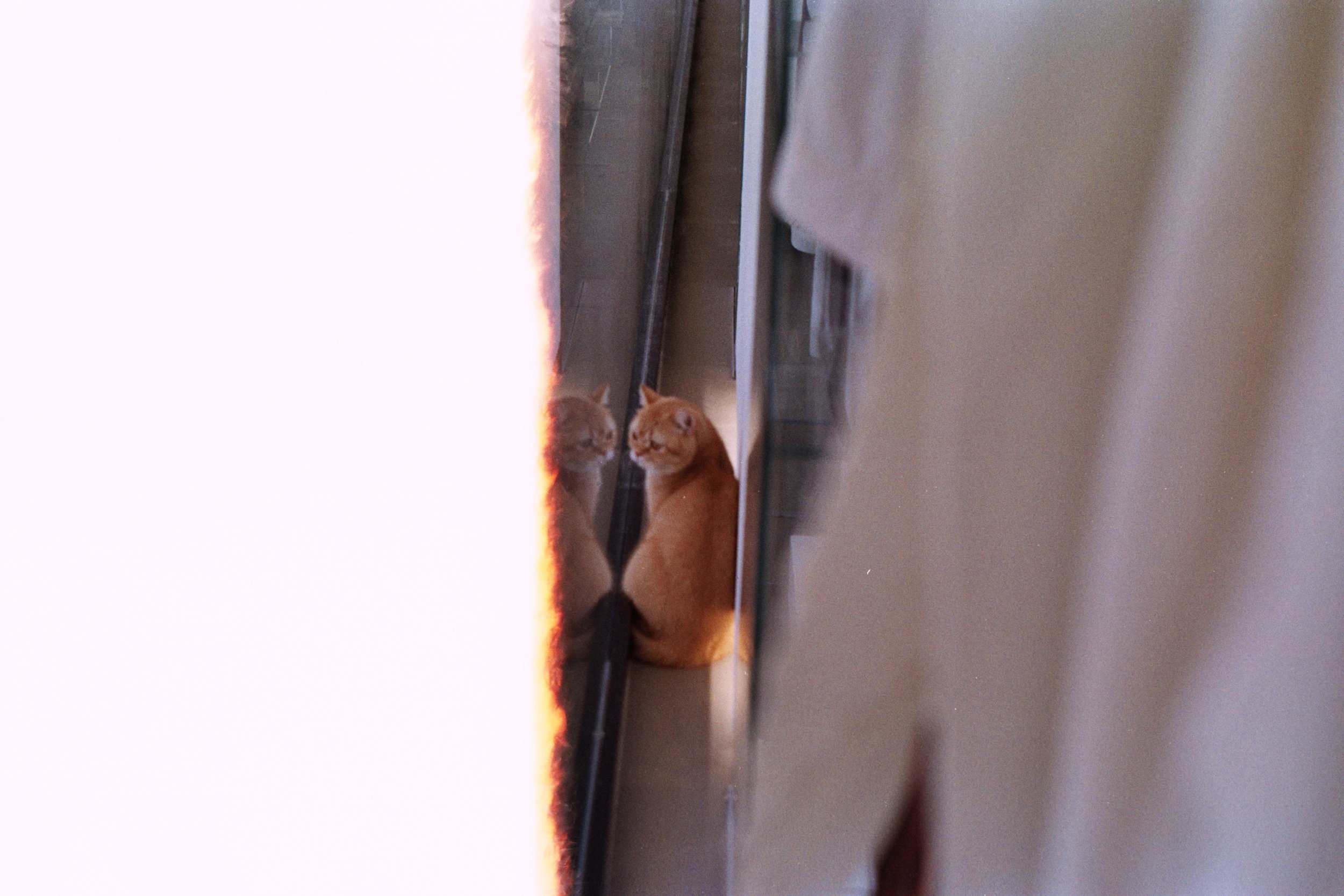 efe_0001.jpg