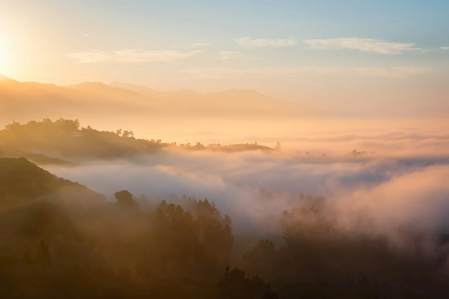 Pine sunrise over Đà Lạt hills