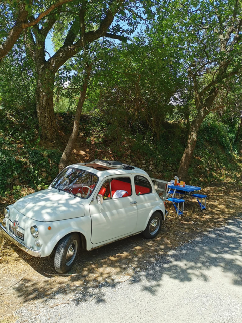 Vintage white car parked on a dirt area under trees with a picnic table nearby.