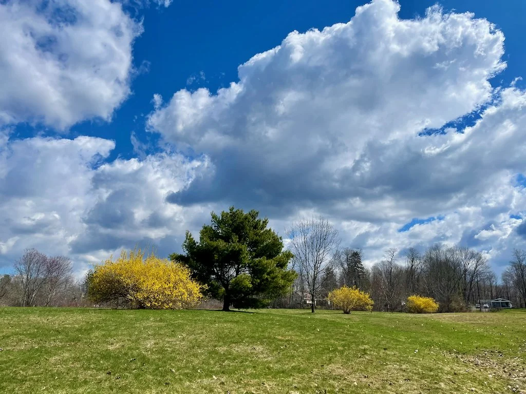 Guided Mindful Outdoor Experience