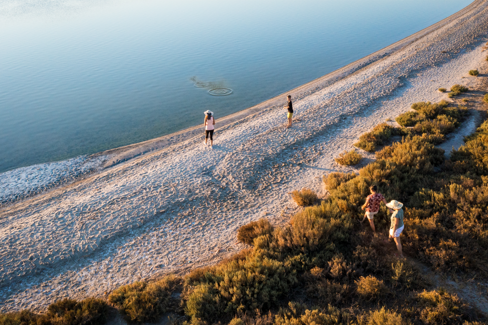 When a Whole Life Insurance Policy Makes Sense