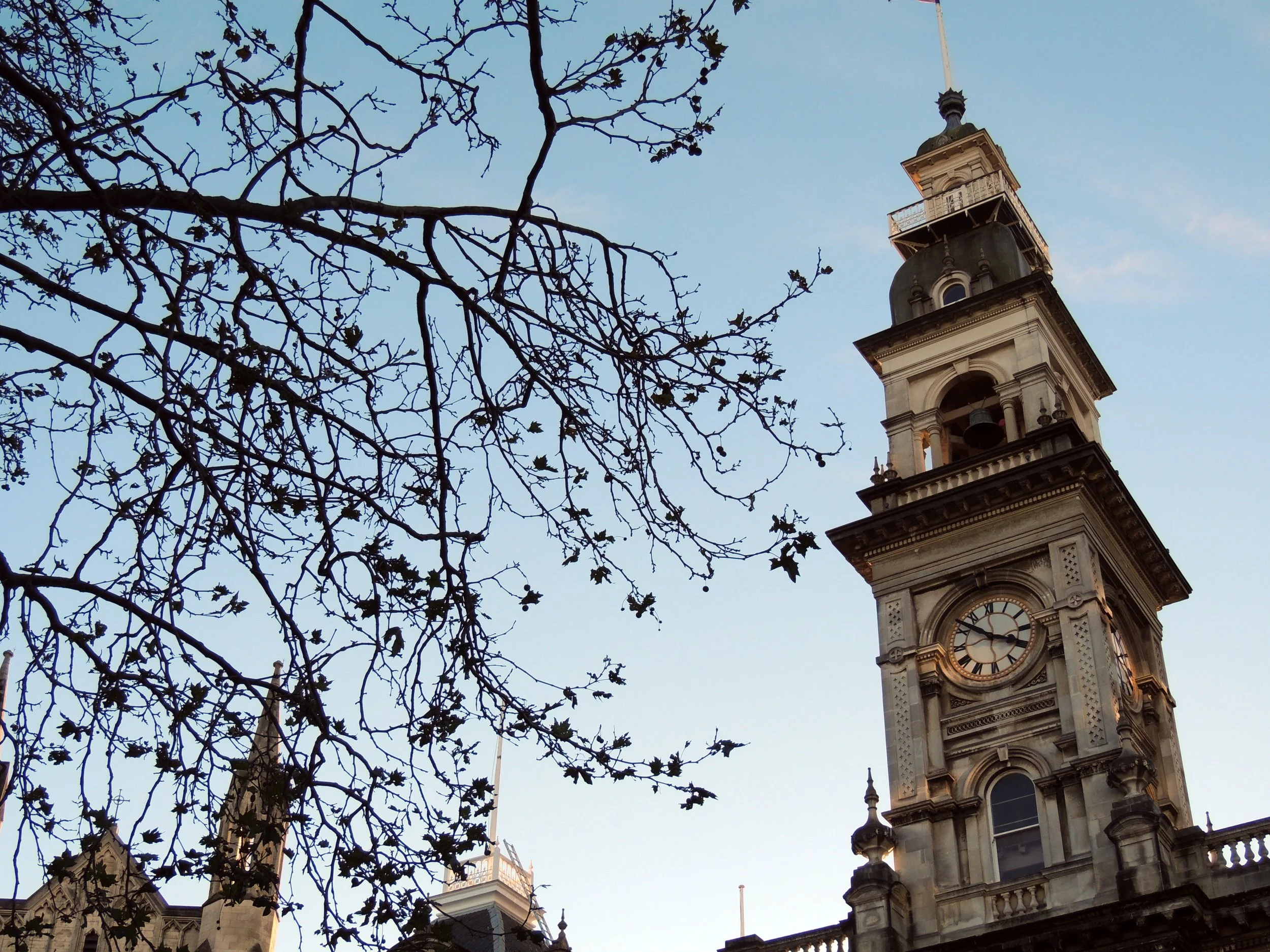 Understanding Tax Equivalent Yield: How Municipal Bonds Compare to Corporate Bonds and Treasuries