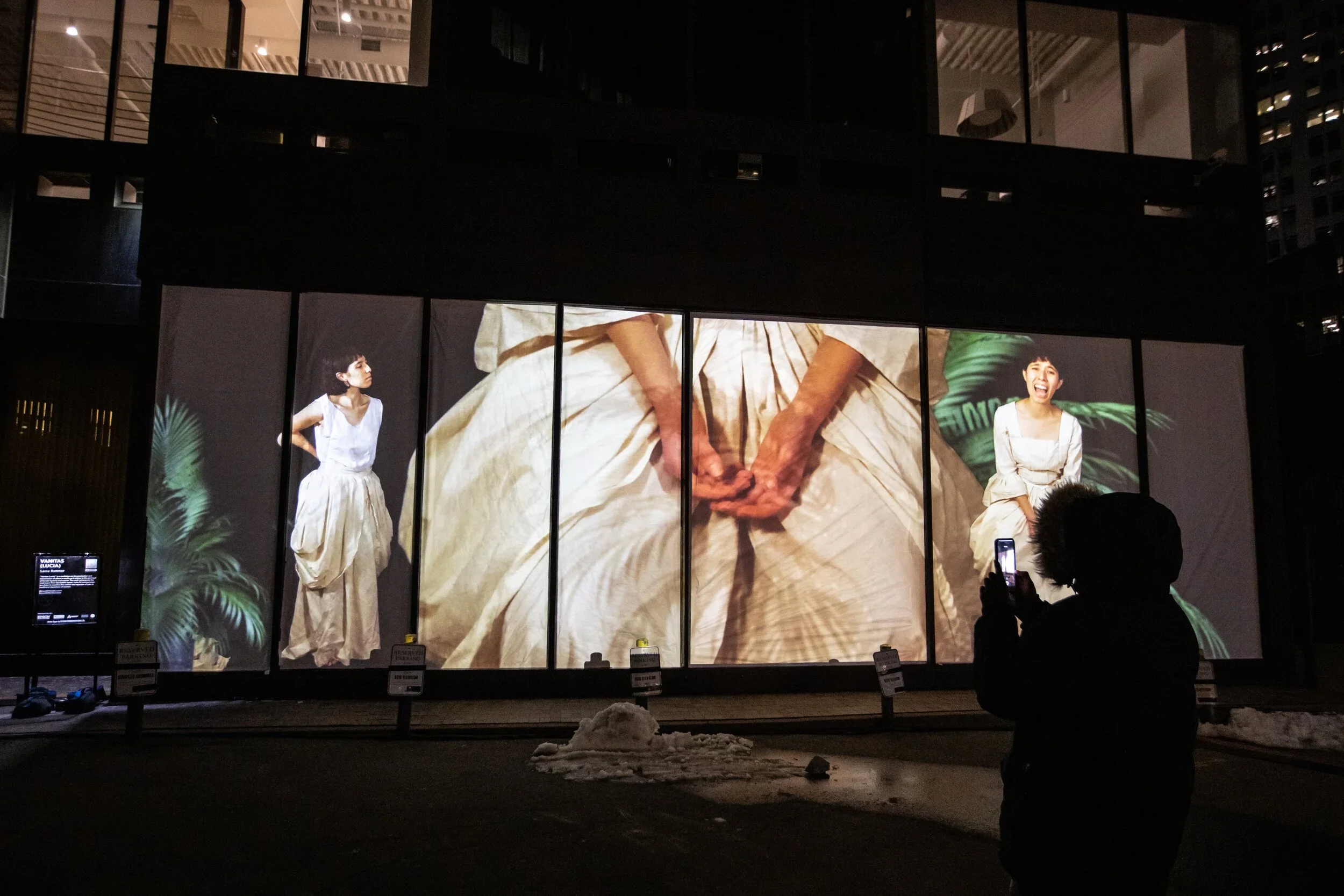 Vanitas (Lucia)
Laine Rettmer