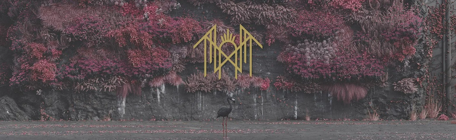 Black Flamingo:      “Et in Arcadia ego”