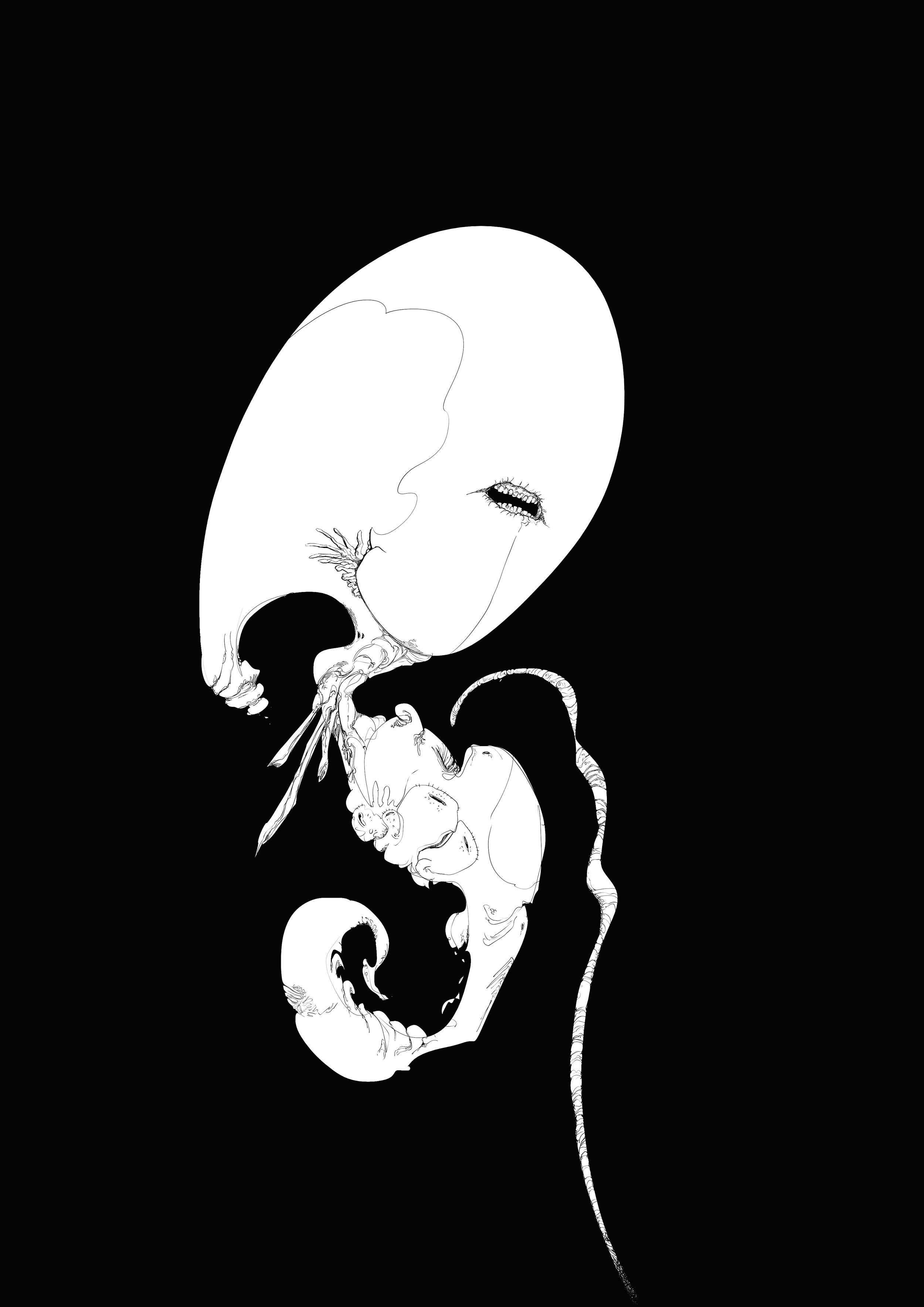 Wired for a Crowd or a Couch? Your Guide to the Introvert-Extrovert Brain