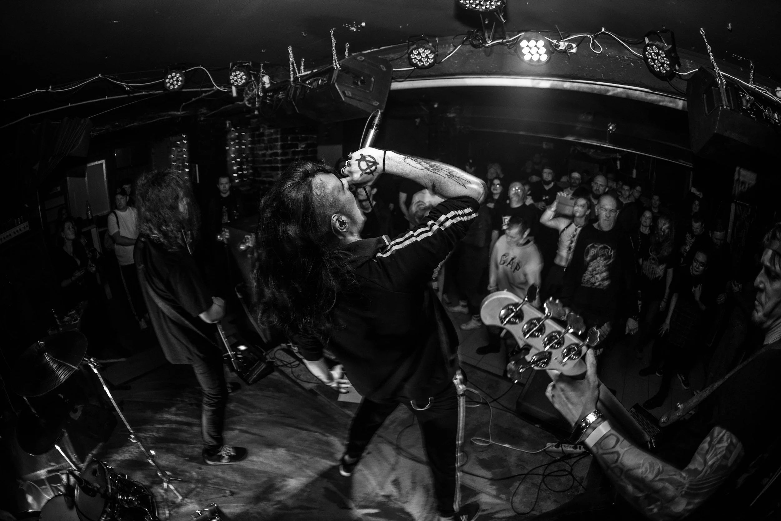 Why There's No New Punk
