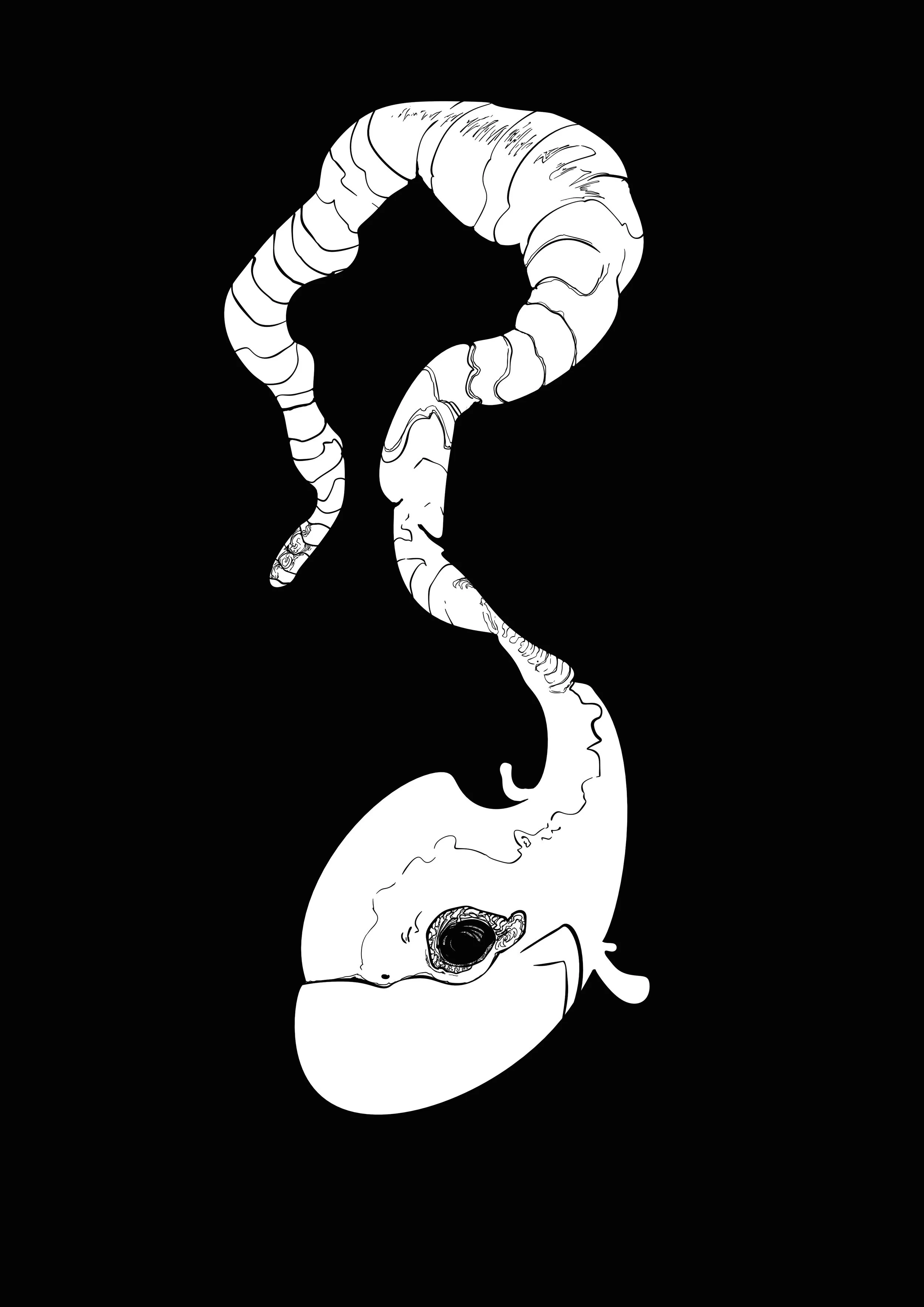 Notes on the Human Condition, Essay II: Architecture of Meaning