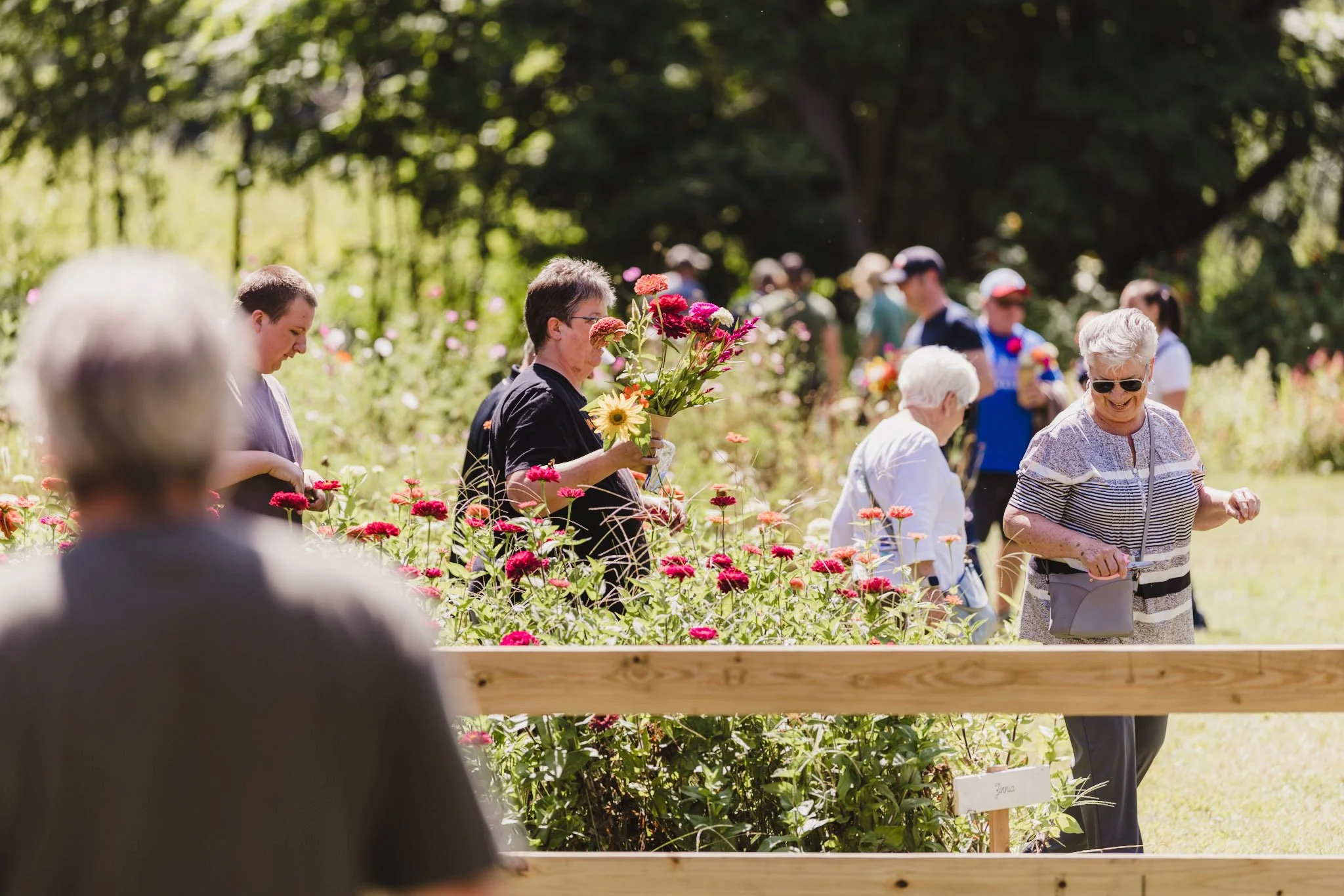 Mother's Day Peony U-Pick at Good Seeds Flower Farm