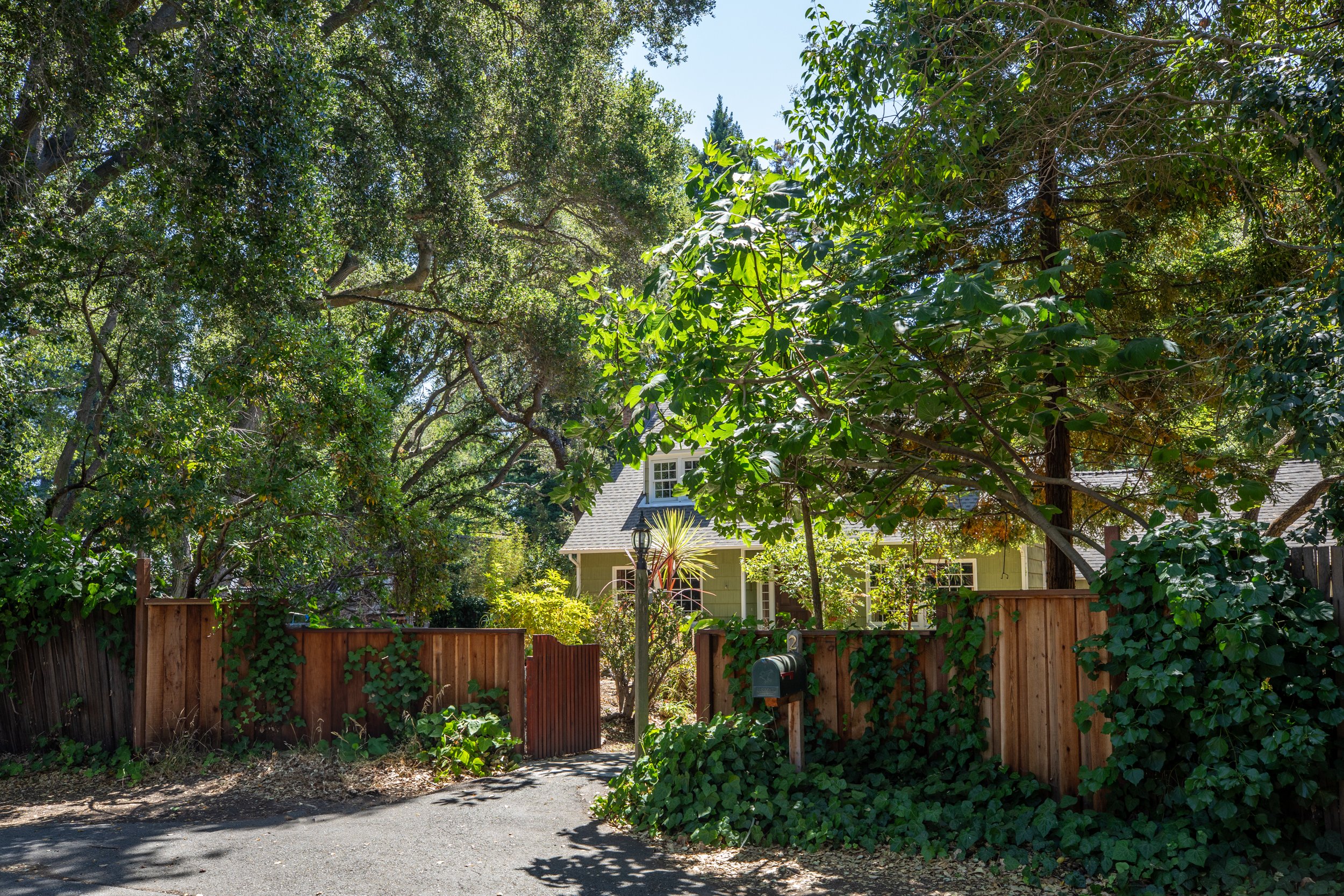 1-Bassett_Matt_Anello-3415-MLS.jpg