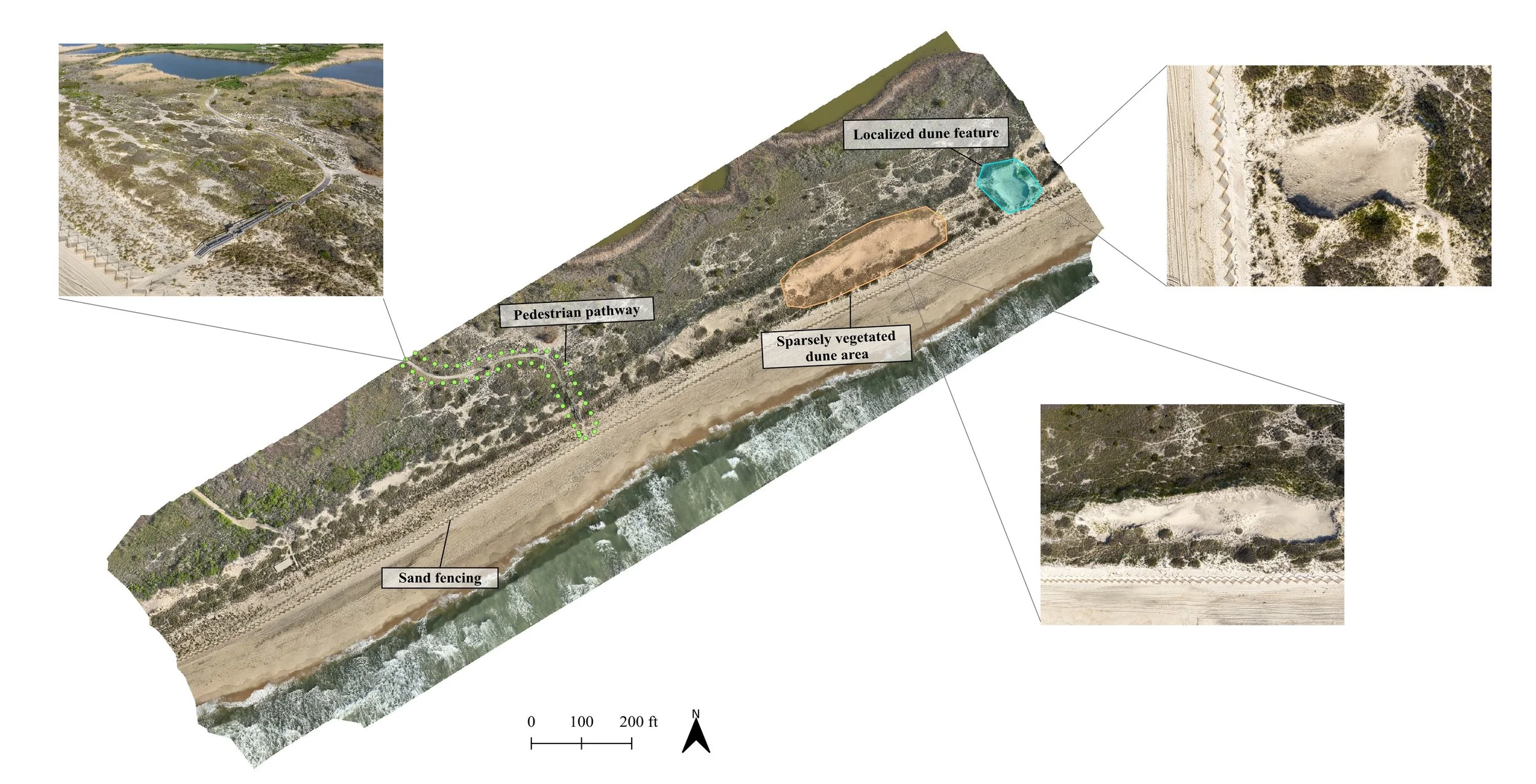 Annotated aerial map of Flying Point Beach labeling the pedestrian pathway, sand fencing, and dune features, used for coastal habitat and erosion monitoring.
