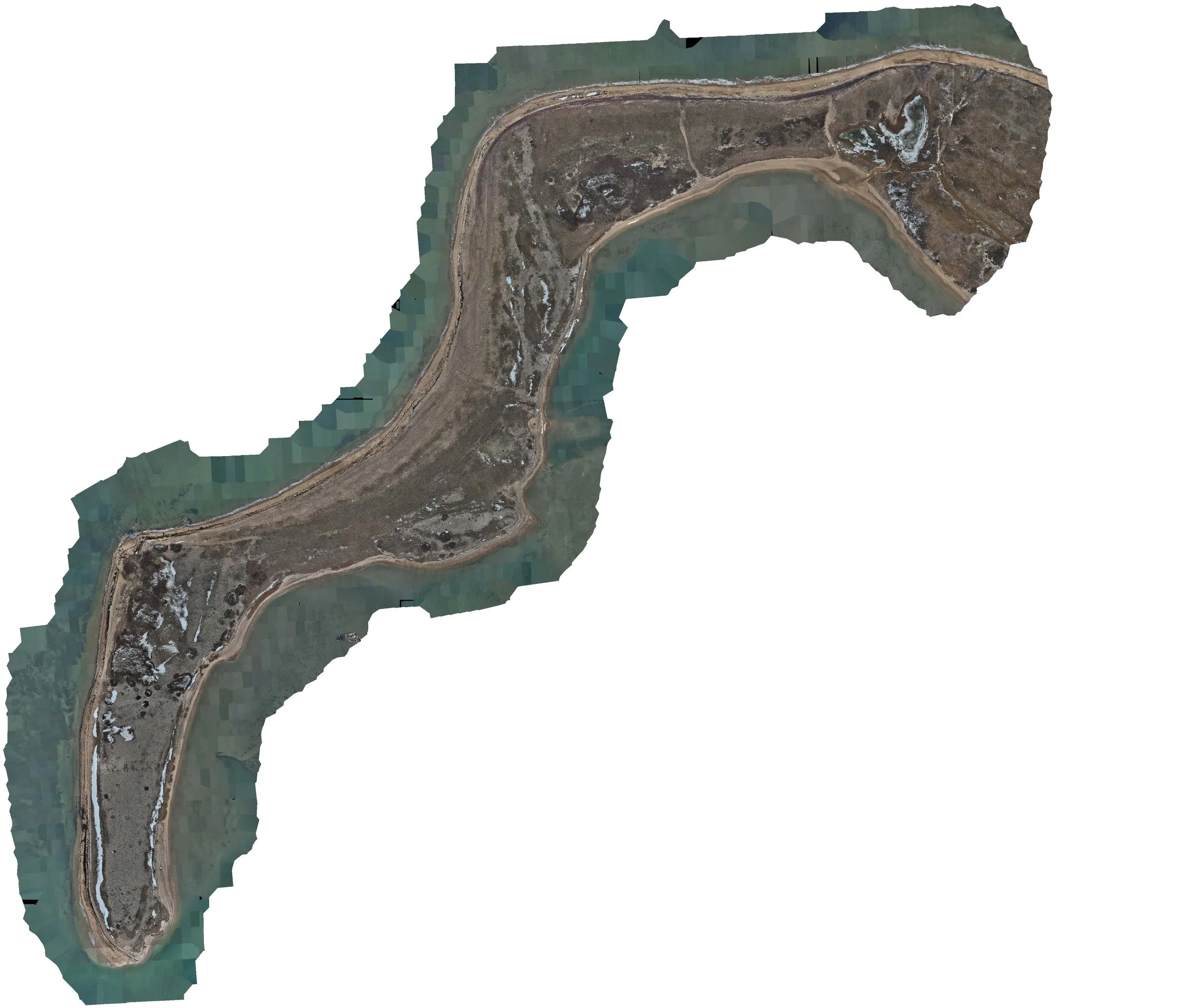 Lazy Point Orthomosaic