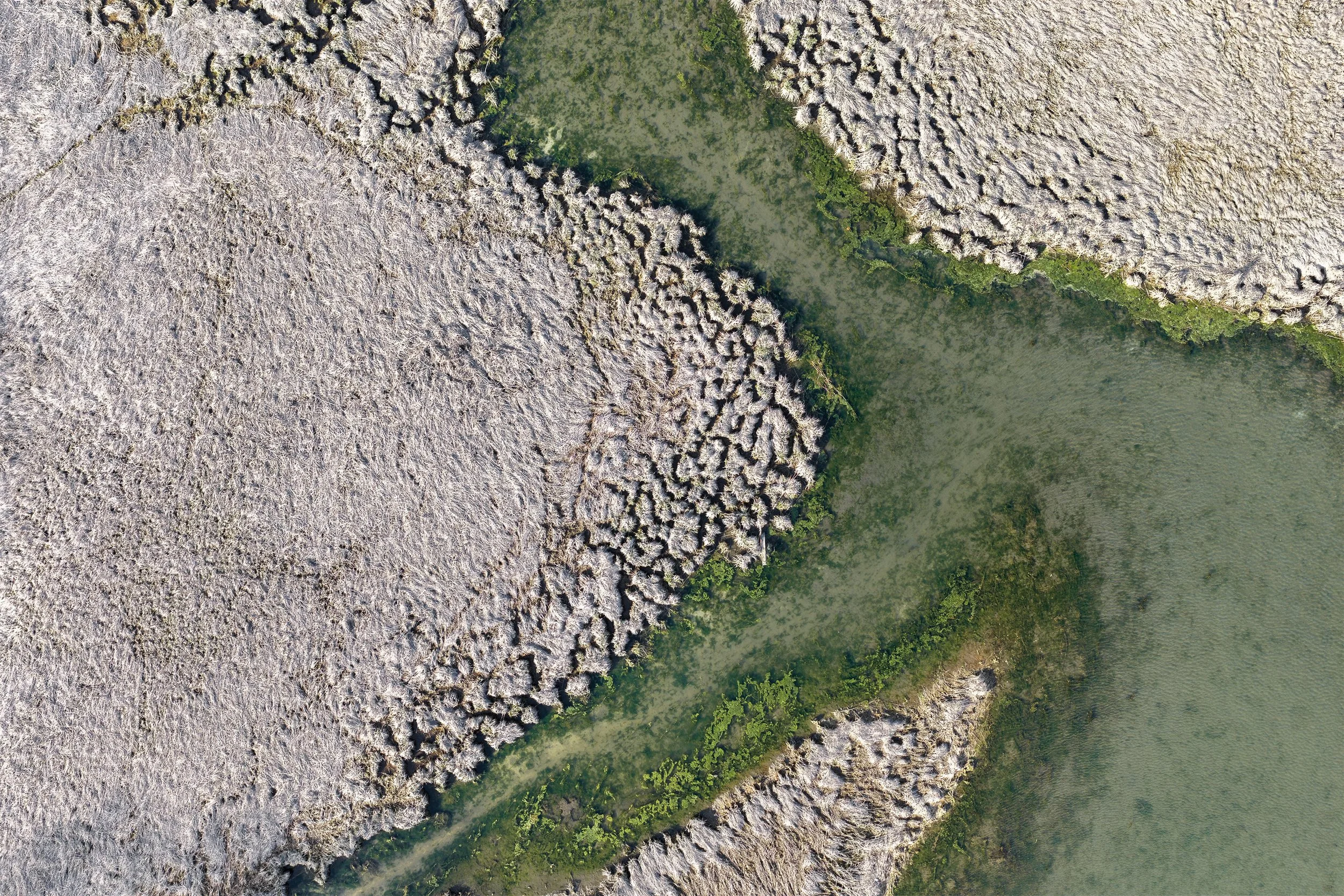  Aerial imagery reveals the narrow transition zones between marsh vegetation, shallow water, and river-edge habitat. 