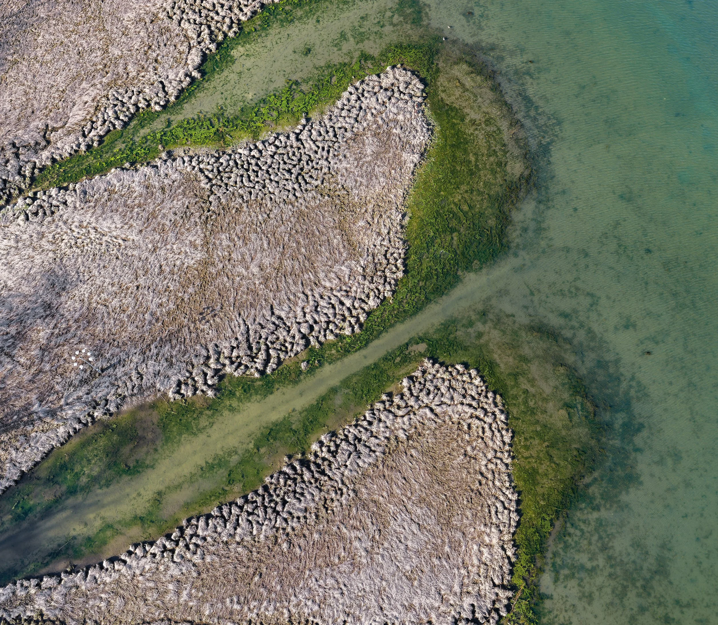  From above, the Speonk River becomes a layered coastal corridor of marsh edges, shallow channels, submerged vegetation, and open water. 