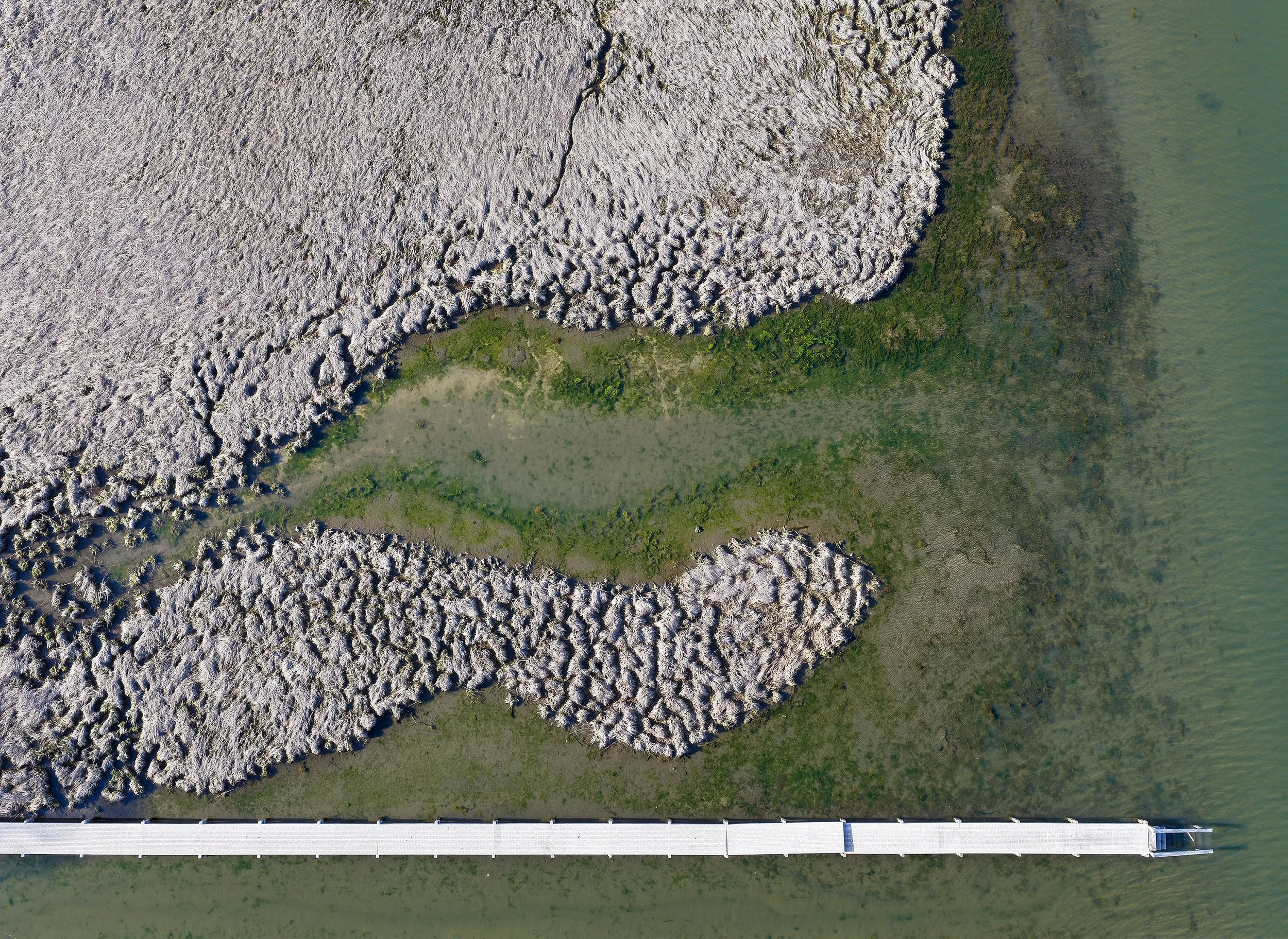  Along the Speonk River, natural marsh patterns and built access points intersect, revealing how human use and coastal ecology share the same narrow edge. 