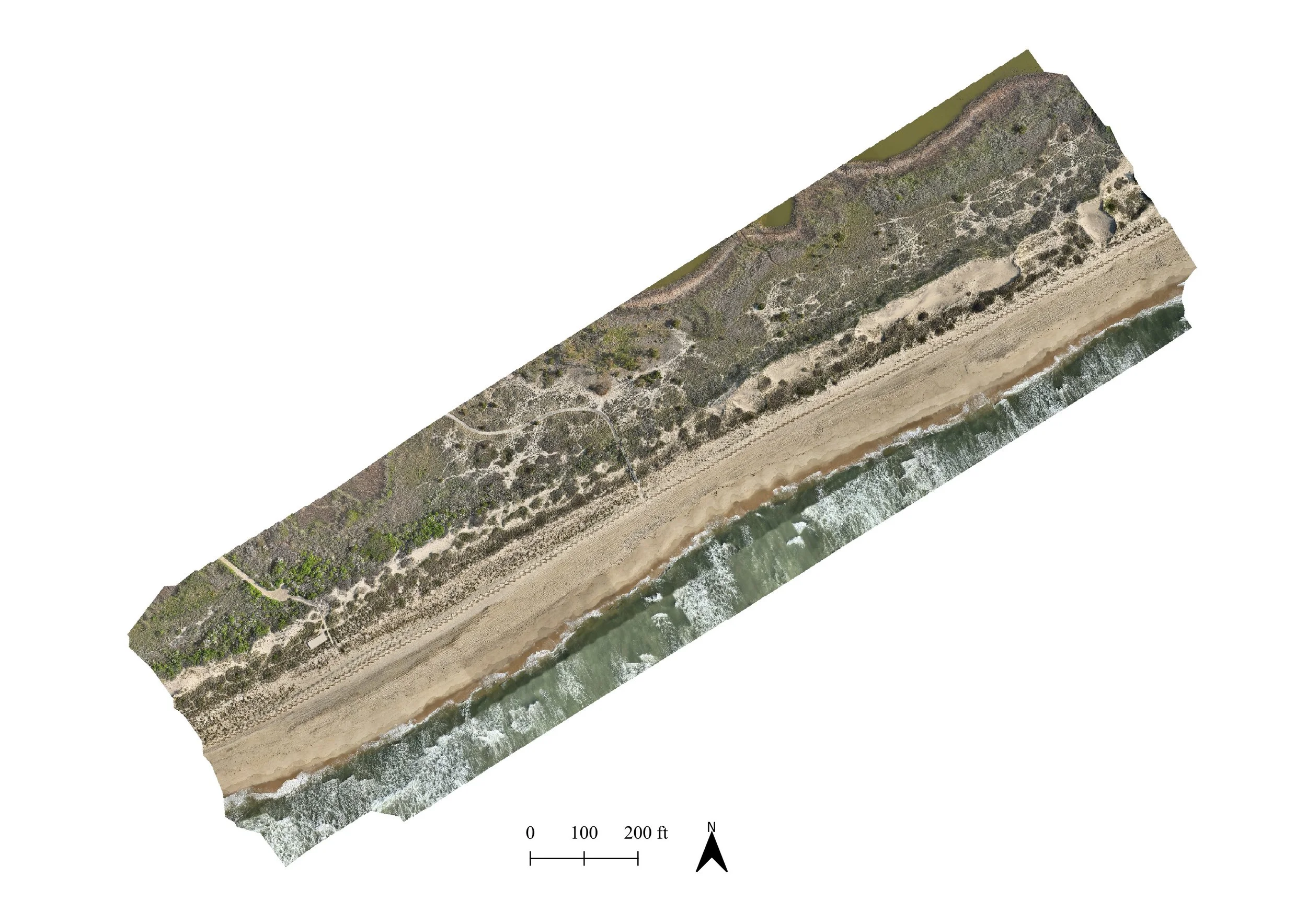 Aerial orthomosaic map of Flying Point Beach, Long Island, showing the shoreline, frontal dune, sand fencing, and adjacent wetland ponds, stitched from hundreds of drone photos.