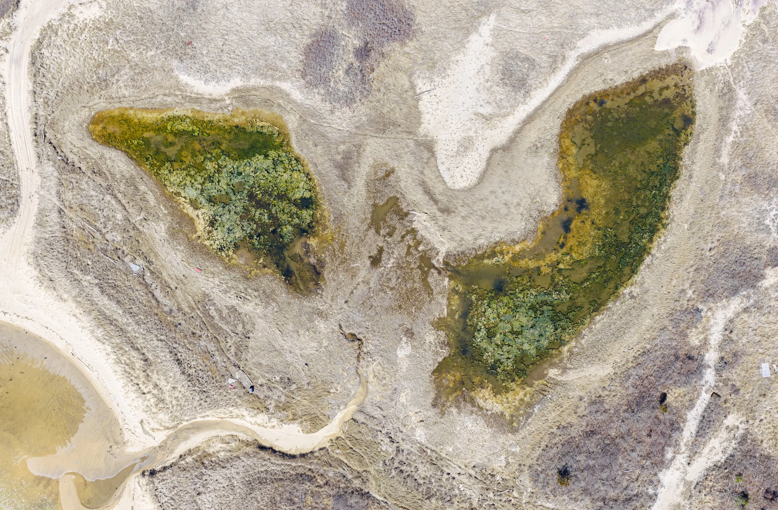   High-resolution drone image highlighting tidal ponds, vegetation patterns, and micro-topography across the site.  
