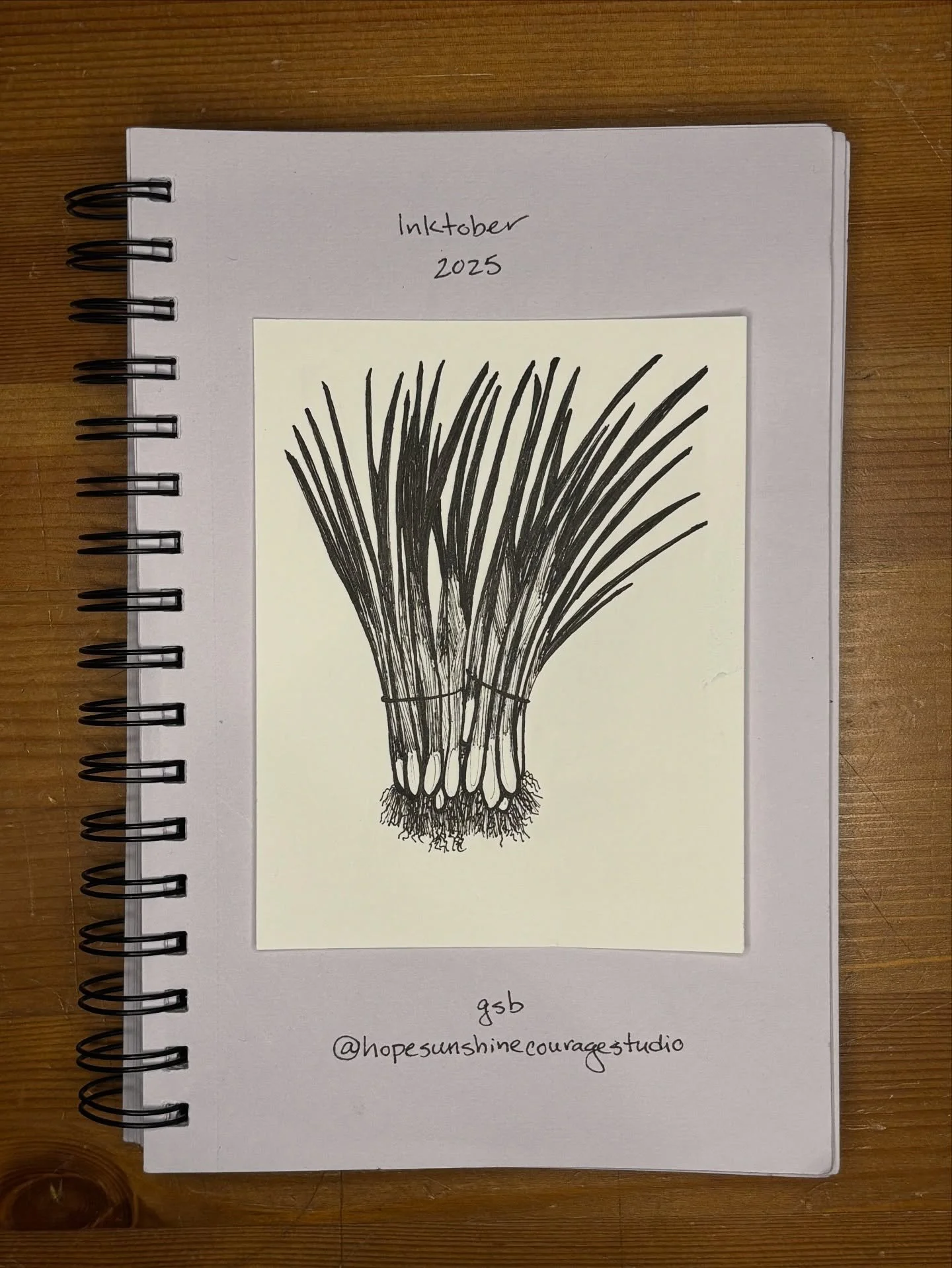 &ldquo;It is hard to imagine a civilization without onions; in one form or another their flavor blends into almost everything in the meal except the dessert.&rdquo;

Julia Child

Inktober Challenge 2025; Day 27: Onion

#hopesunshinecourage #inktober 