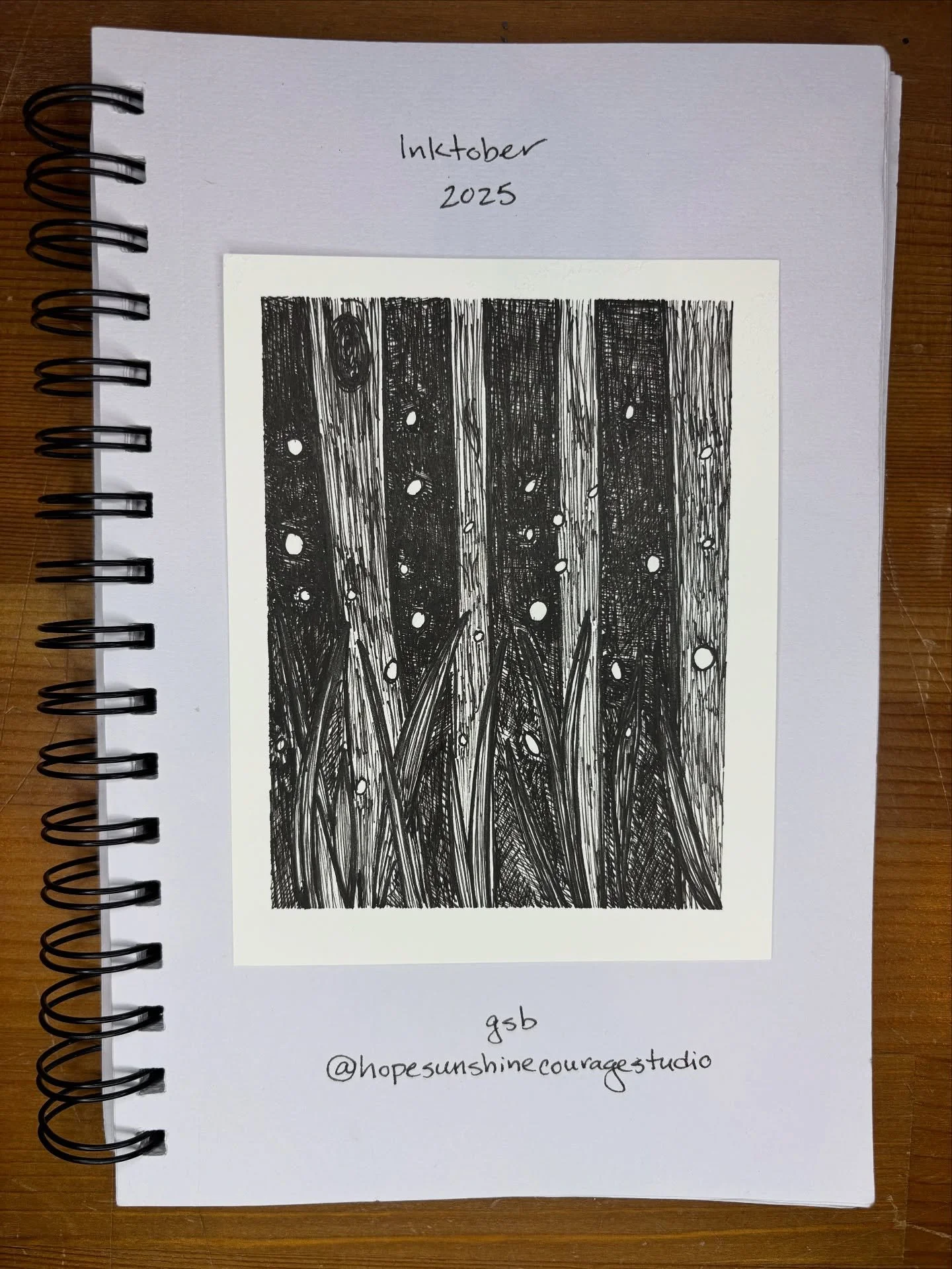 &ldquo;My fancies are fireflies, -
Specks of living light
twinkling in the dark&rdquo;

from Fireflies, by Rabindranath Tagore

Inktober Challenge 2025; Day 23: Firefly

#hopesunshinecourage #inktober #inktober2025 #inktoberchallenge2025 #inktoberfir