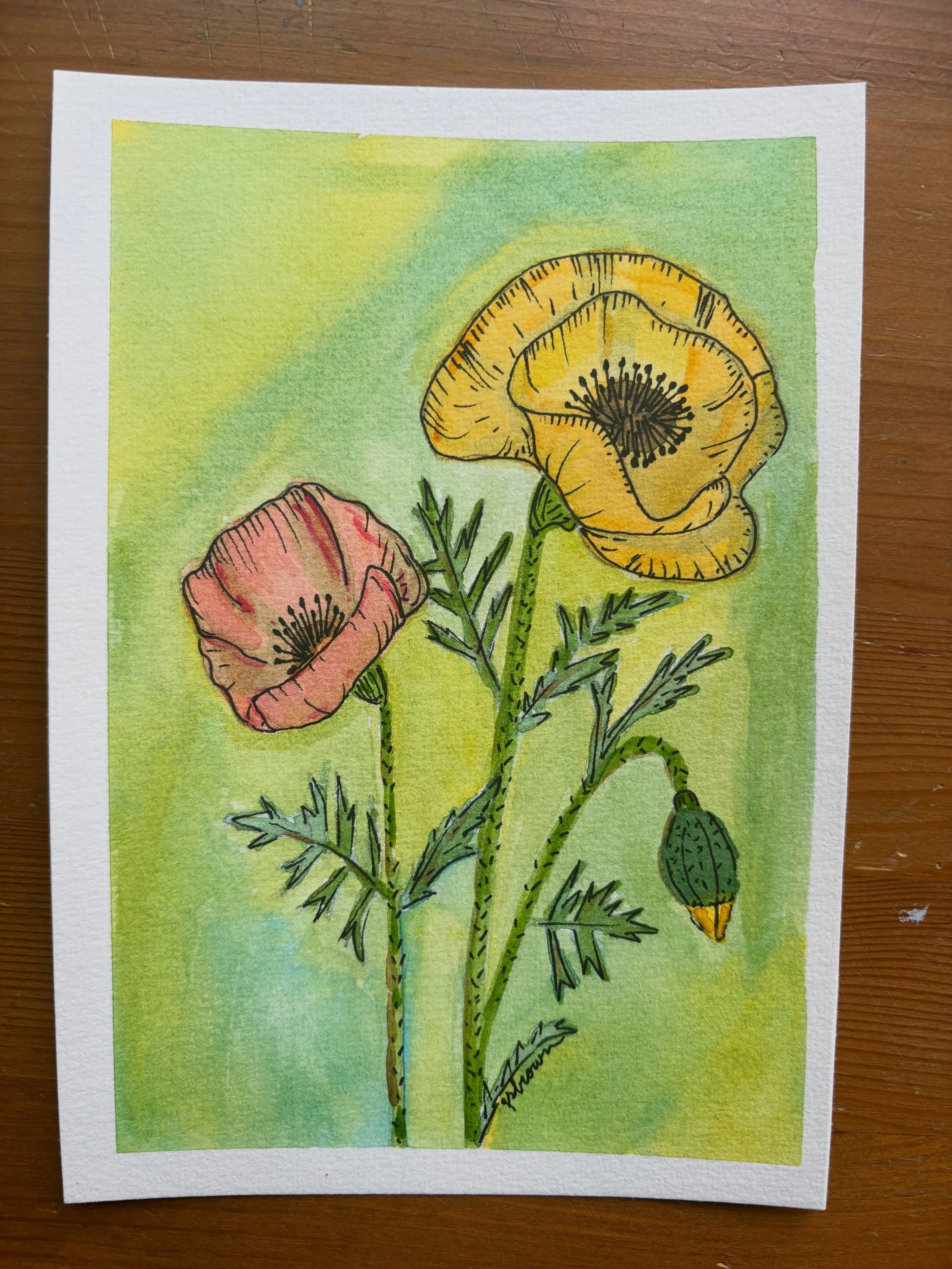 These poppies were delivered to their new home today! 
Thank you @deanna.youngberg for believing in me and commissioning these two watercolor paintings for your office.  I hope they bring you daily joy and sunshine! ❤️

#hopesunshinecourage #watercol